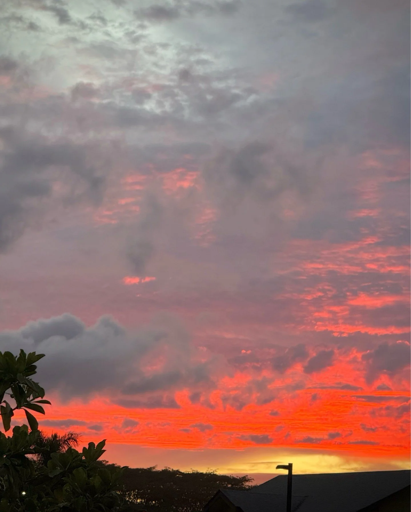 ✨The sky this weekend was truly magical.

We caught this sliver of color on an evening walk with the dogs, and it felt like such a gift&mdash;one of those unexpected moments of joy you&rsquo;re just grateful to notice.

Wishing you a peaceful, rejuve