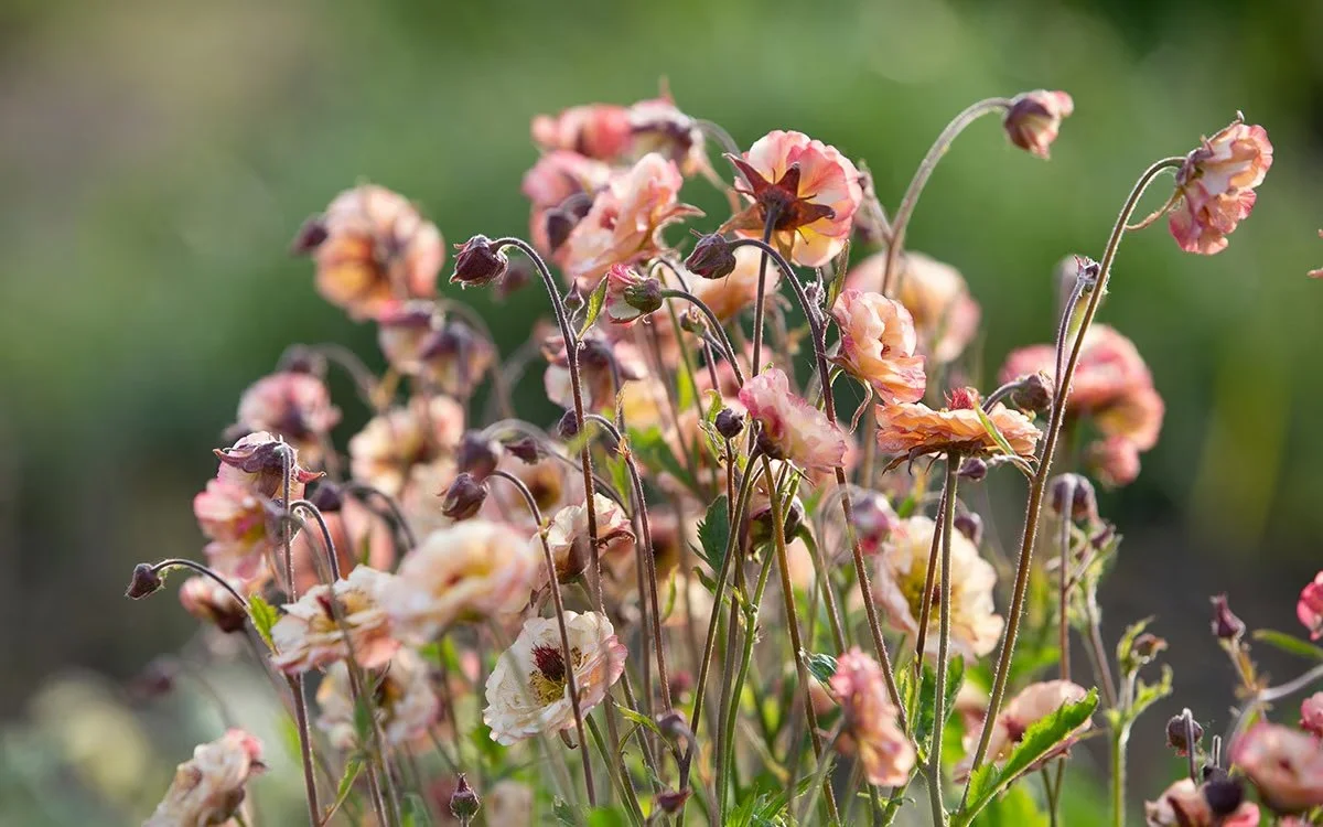 Second Quarter 2026 Akashic Magic: The Space Between What Was and What Will Be