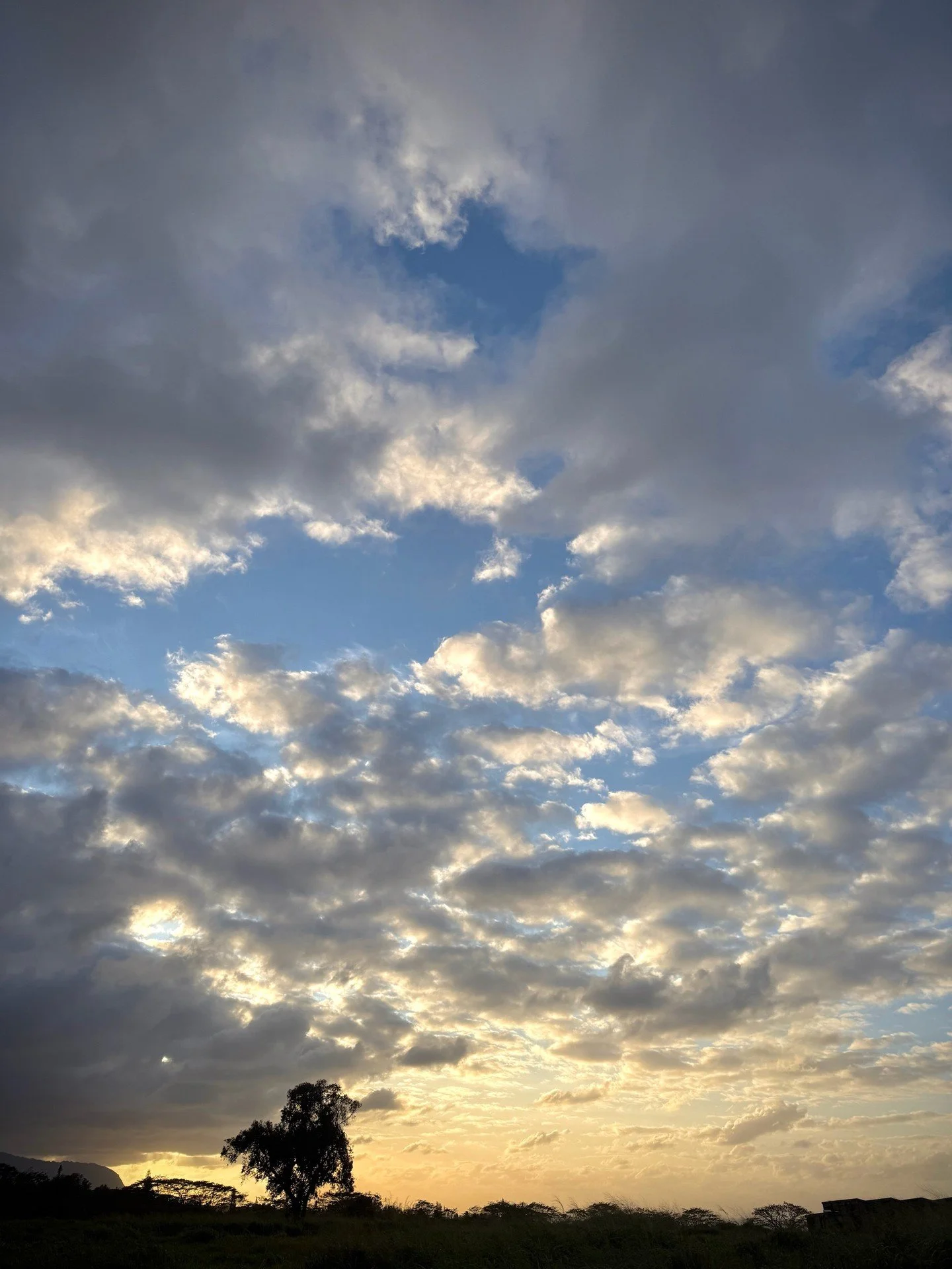 🌥️A little reminder from the sky&mdash;

There is more space here
than it feels like.

More possibility.
More unfolding.
More still ahead.

Let yourself open into that today. 🤍

💕 Dr.BethAnne

.

.

.

#YourHeartMagic
#Perspective
#InnerPeace
#Exp