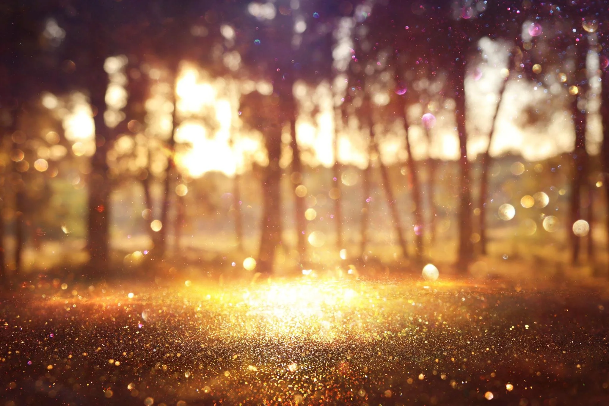 Trusting Your Inner Crescendo: When Momentum Begins to Build (Akashic Energy Update)
