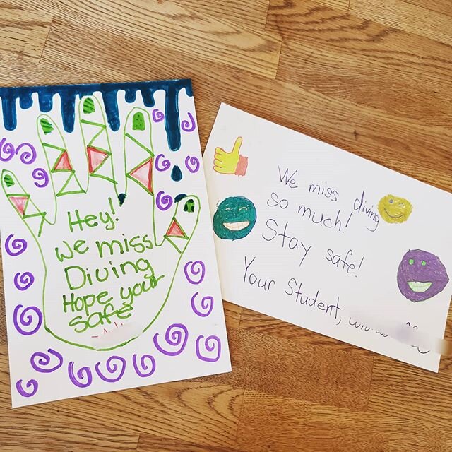 This made my day 😊 Missing our team! 
#pittsburghdivingclub #pittsburgh #pgh #pghsports #divinglife #sports #usa #usadiving #stayactive #stayhome #dryland #covid_19 #athomeworkout #pittsburghdiving #springboarddiving #team #clubteam #diversofpittsbu