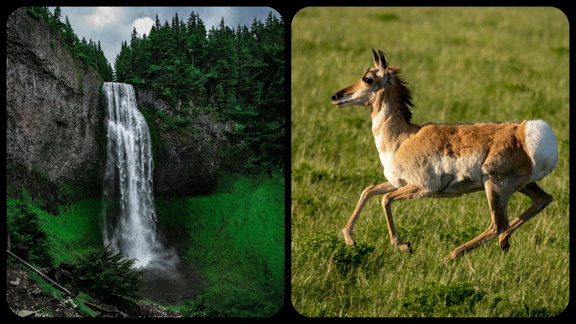 Waterfall vs. Agile: Comparing Methodologies