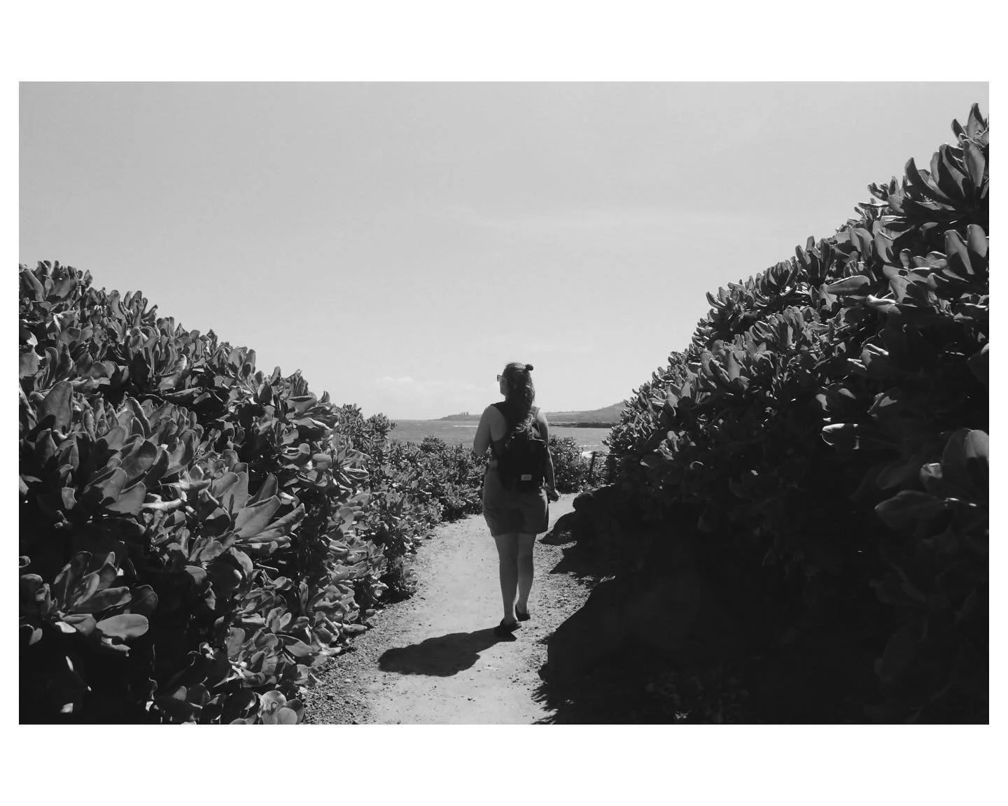 You could probably title our relationship &ldquo;Adventures &amp; Pizza&rdquo; and I don&rsquo;t think I could ask for anything better ❤️

🏝️Maui, June 2022 - Fuji Across ii + Canon AE-1 🎞️📸

#filmisnotdead #shootfilm #filmphotography #film
#35mm 