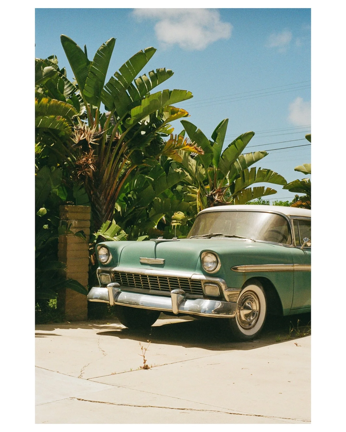 Mint Condition - Olympus OM4T | Kodak Gold 200

Film Hibernation is over! Today&rsquo;s the day! The sun is shining, the lenses are clean! 

#ﬁlmisnotdead #shootfilmstaypoor #filmphotograph #film #35mm #35mmphotography #filmwave #35mmstreetphotograph