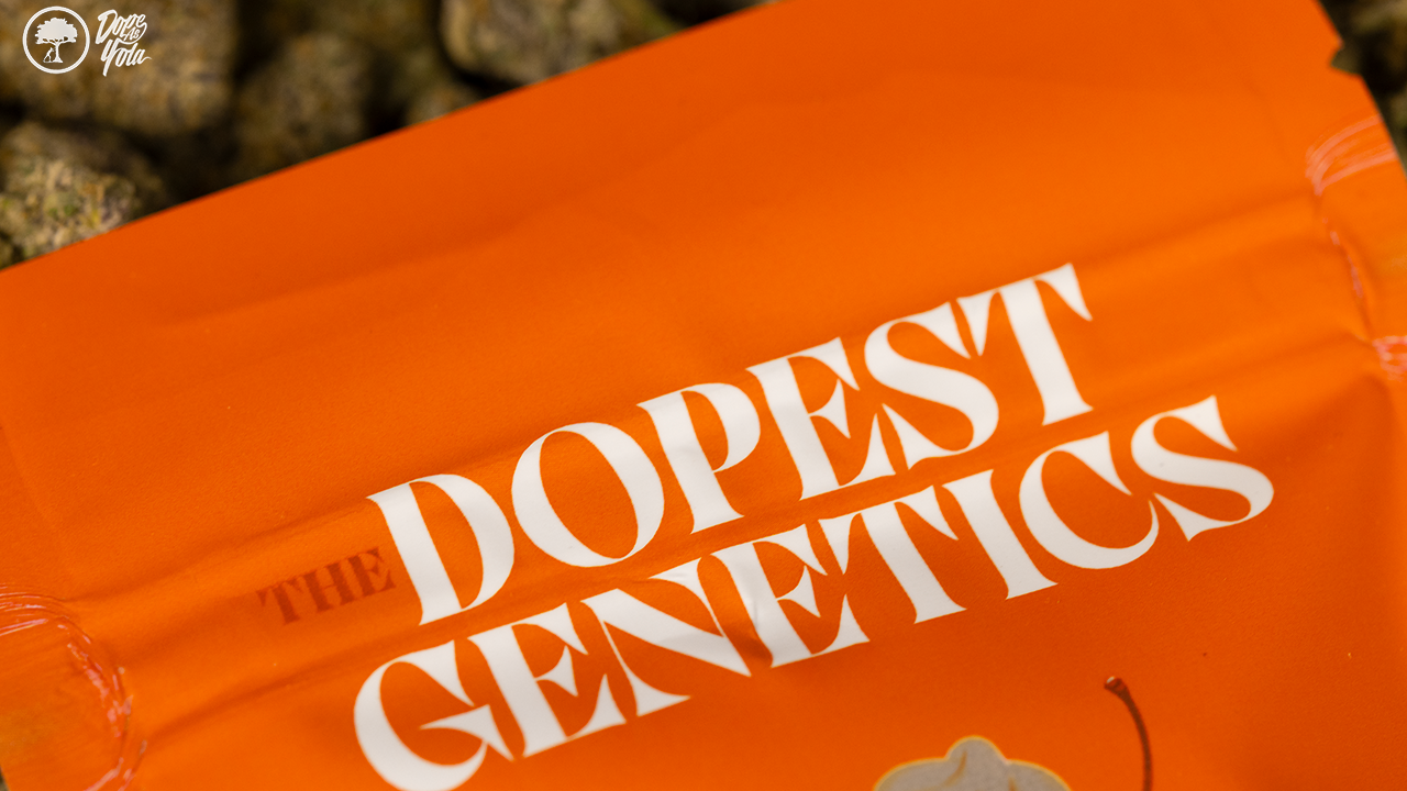 Dopest THCA Alt Thumb.png