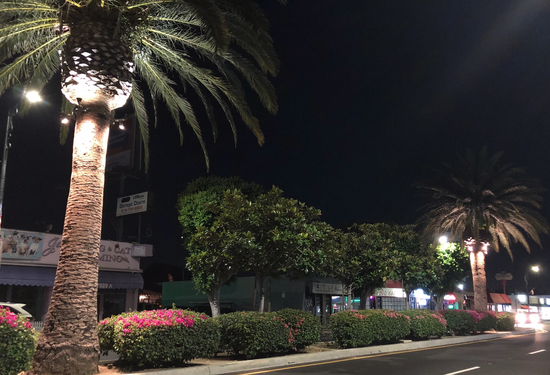 Median Lighting Cropped.jpg