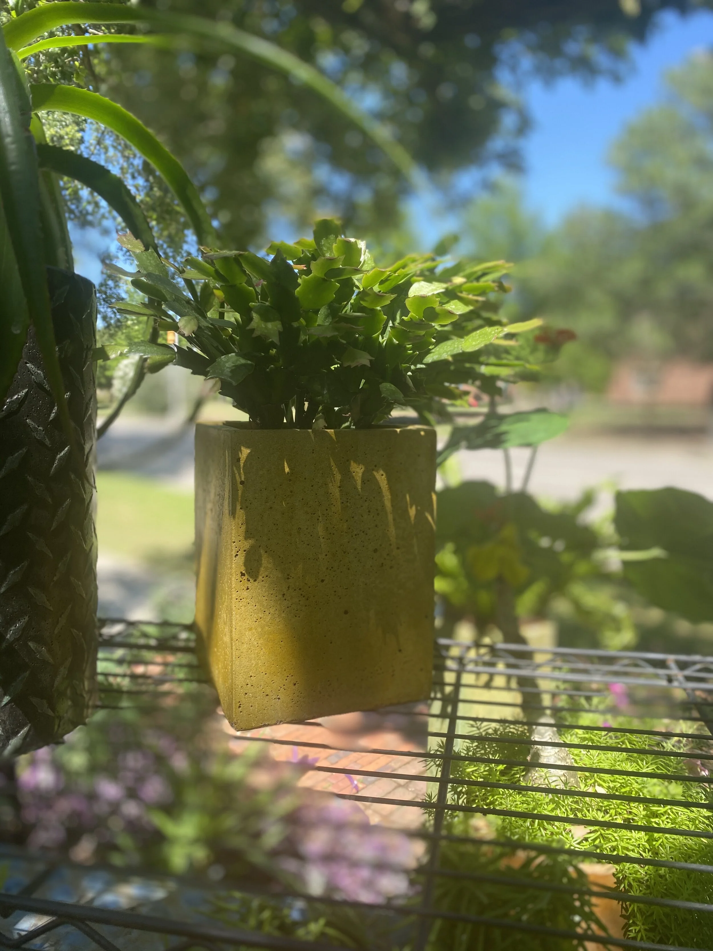 DCEAE153-FD87-42B4-A013-30101378E2CF