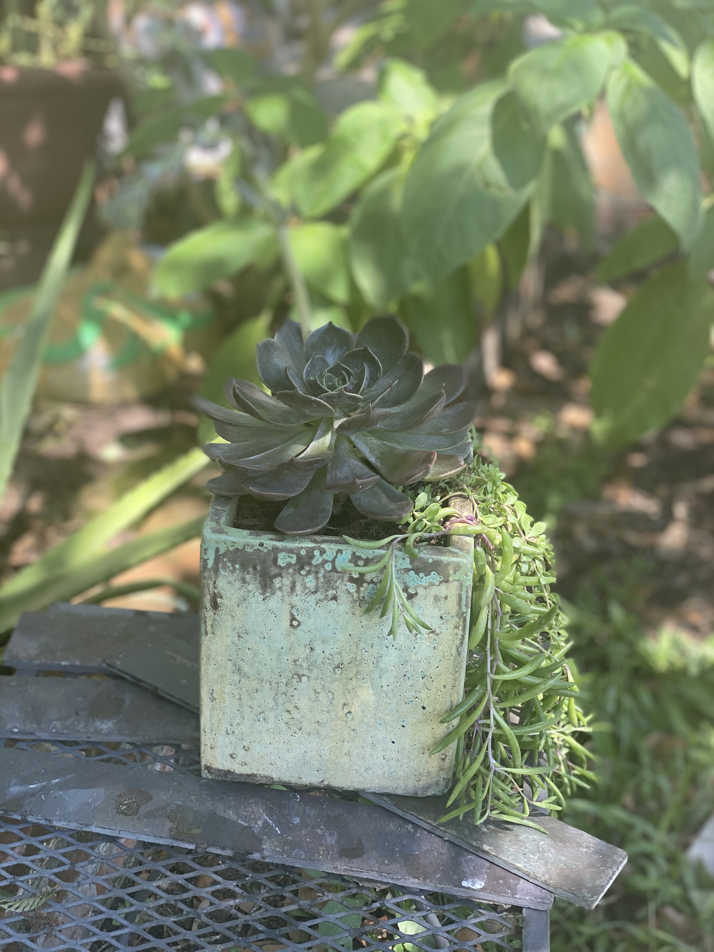 2CBB4E32-593B-455A-9F7A-C10B4BB4072D