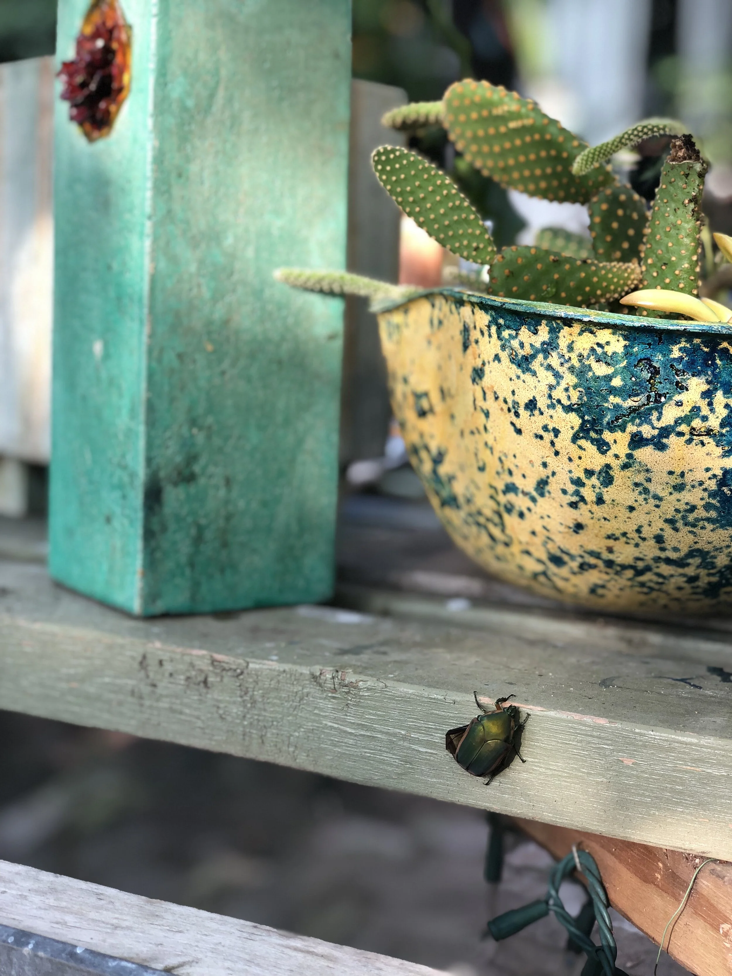 A6DDD377-774E-49F3-A89B-08A98E9D1E61