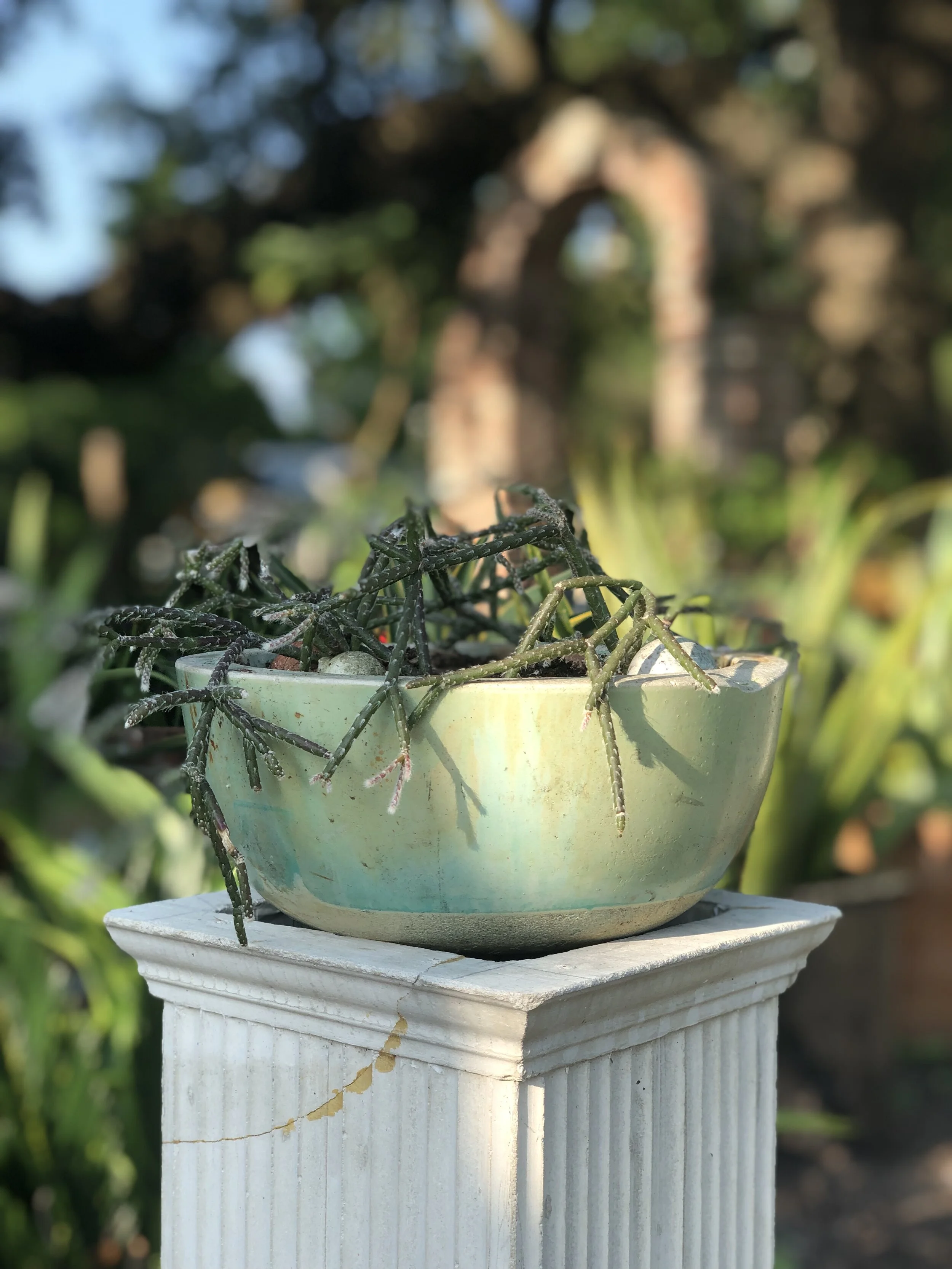 82F283B3-211F-41ED-A47B-B2DD04B6D784