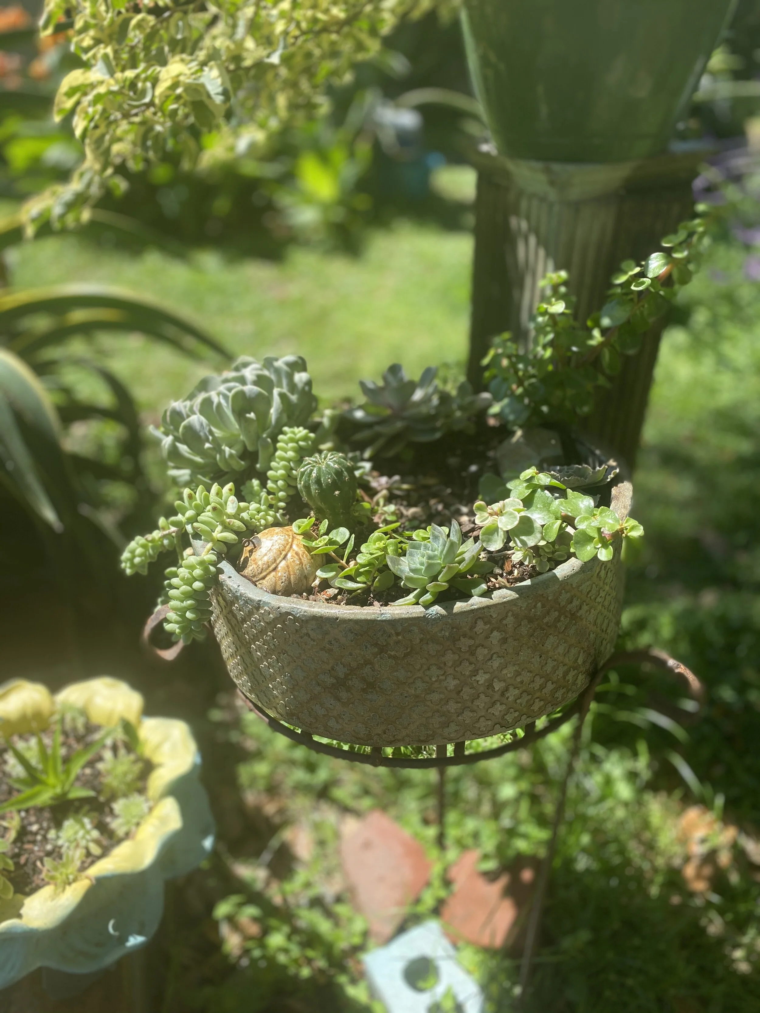 6059F415-4D4C-4A0E-B811-89DE05E87AB0