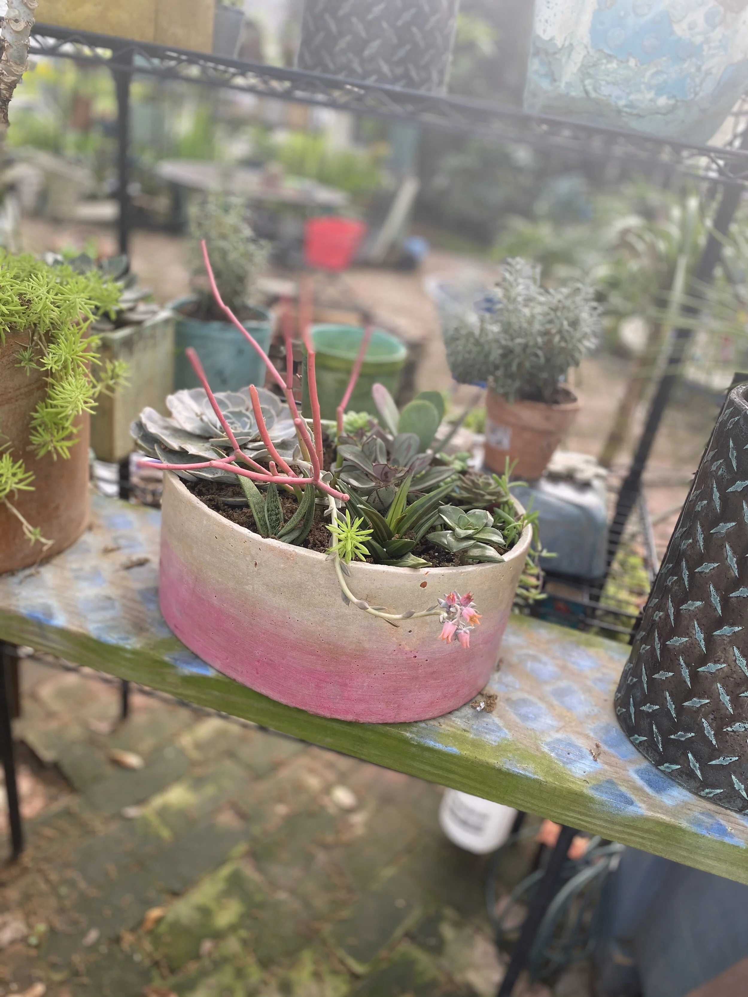 40E5D30E-C731-418A-AF9D-96DB05EAE372