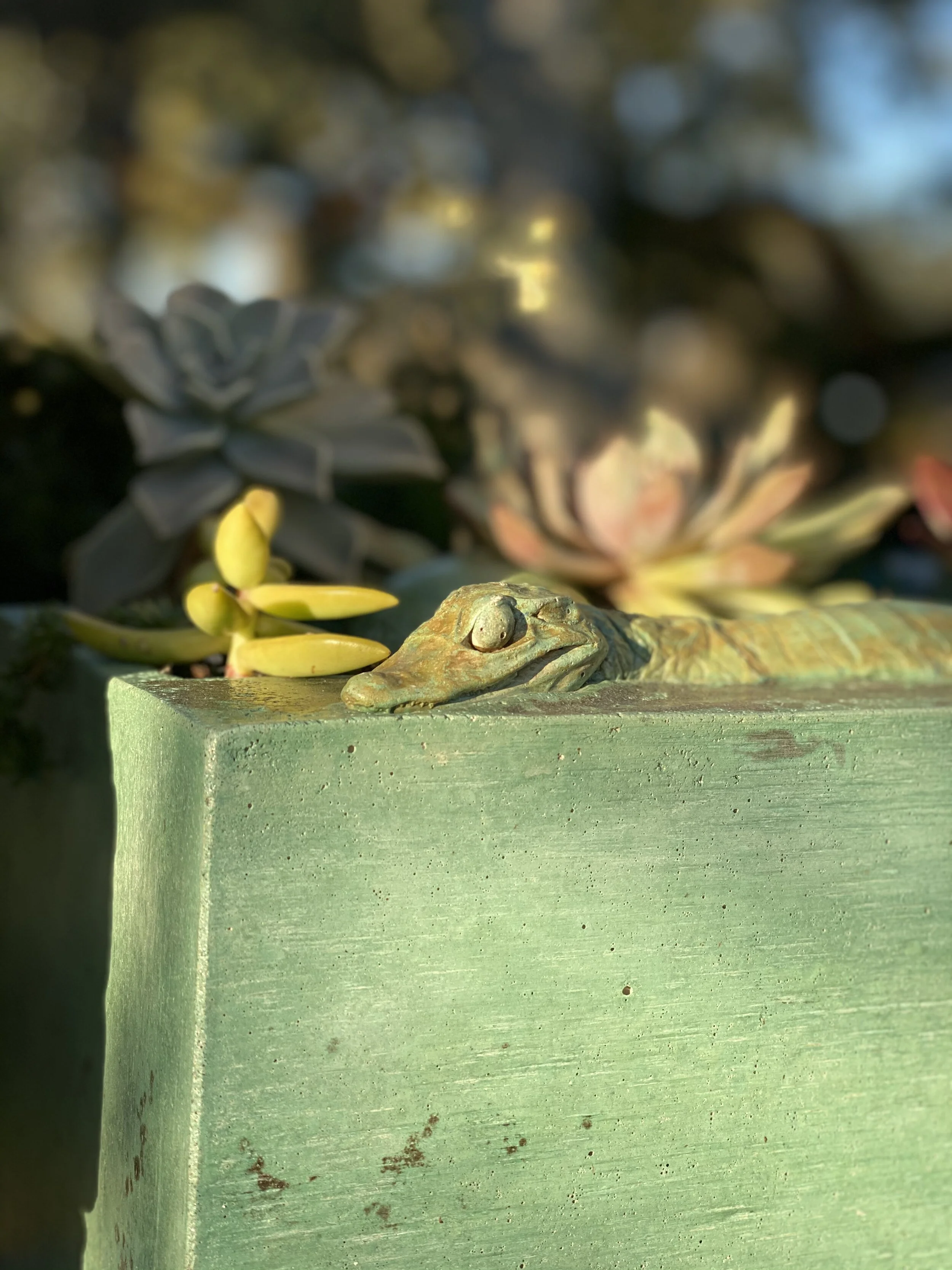 DB59F7CC-A6C1-46EF-8129-DB6452BCBEA7