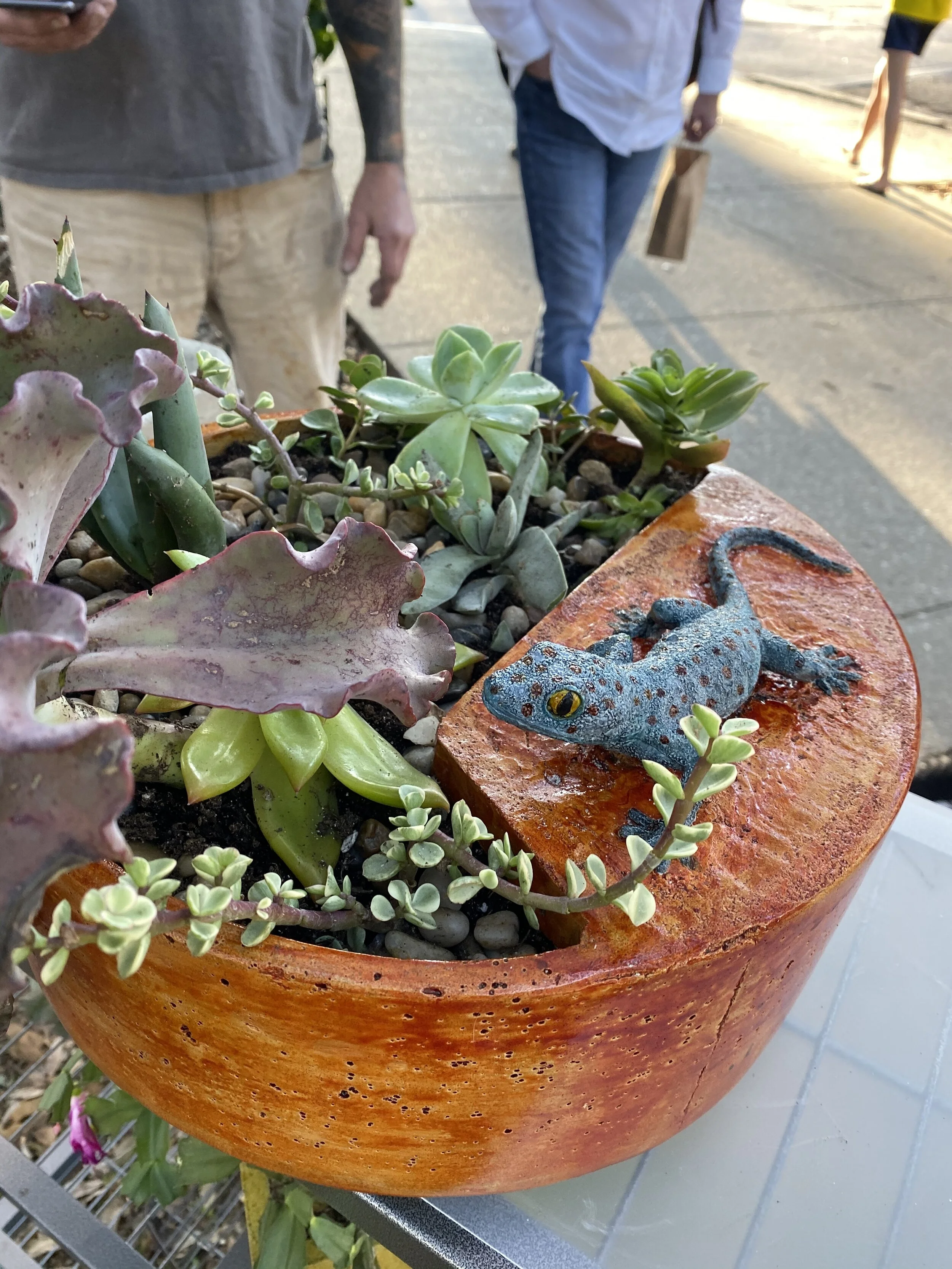 97498B2D-00E7-4D87-9299-5A8F81283EB5