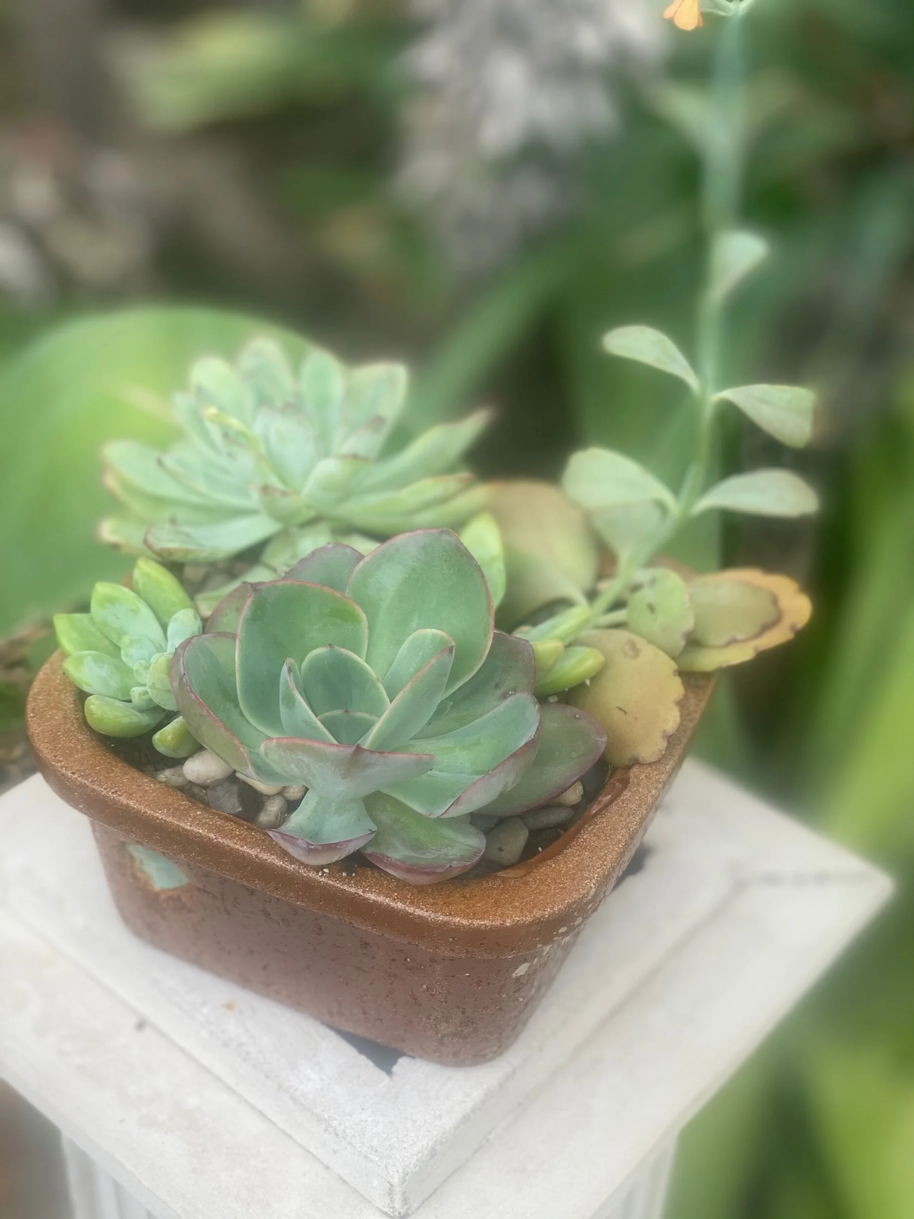 5315D0A4-6F9E-4C23-9F93-207AD6AEC2A4