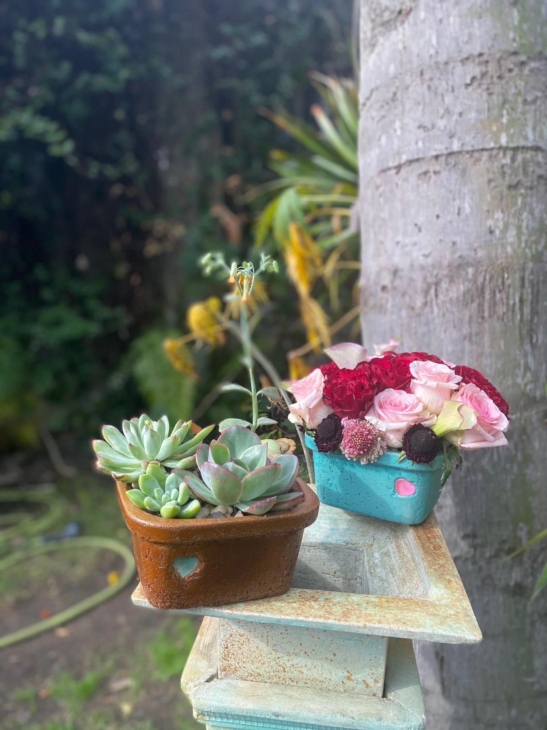 35D992CA-0B4F-4A9C-9AA5-45CB395036E2