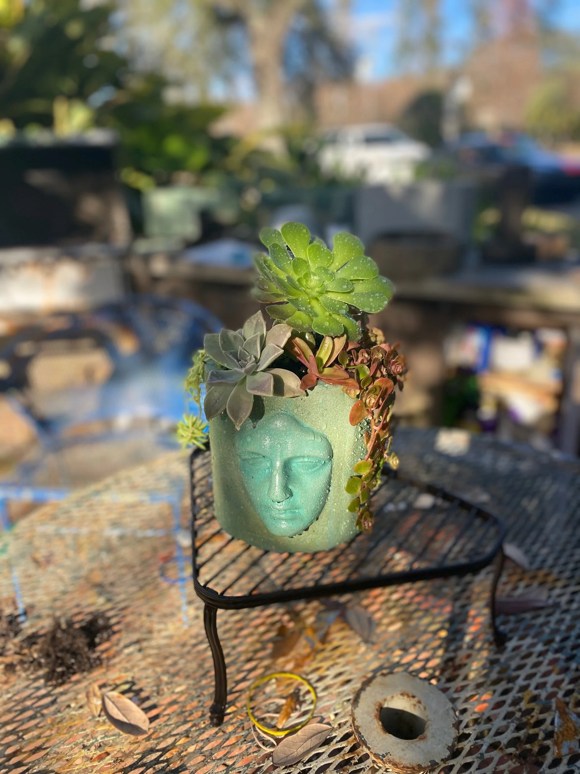 CD51F99E-2385-4AA7-8506-86CF34EDA7D9