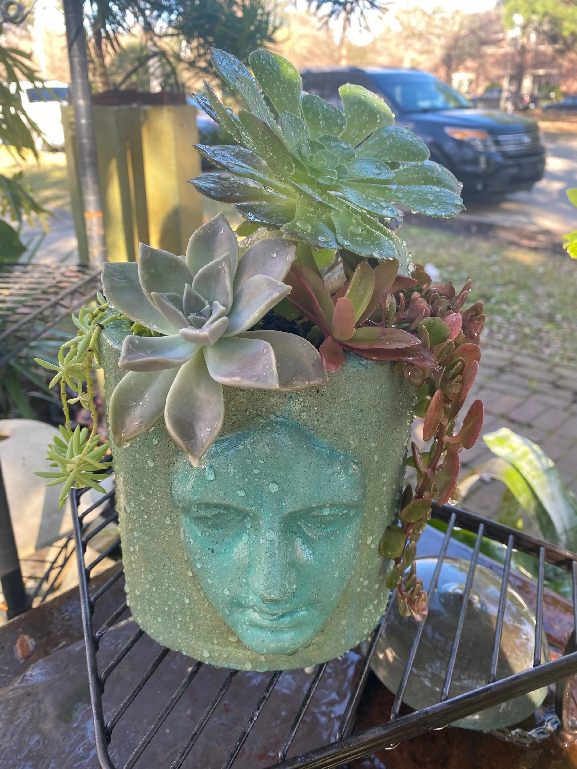 381FD8B6-21FC-41E8-BA2C-BA94934C7882