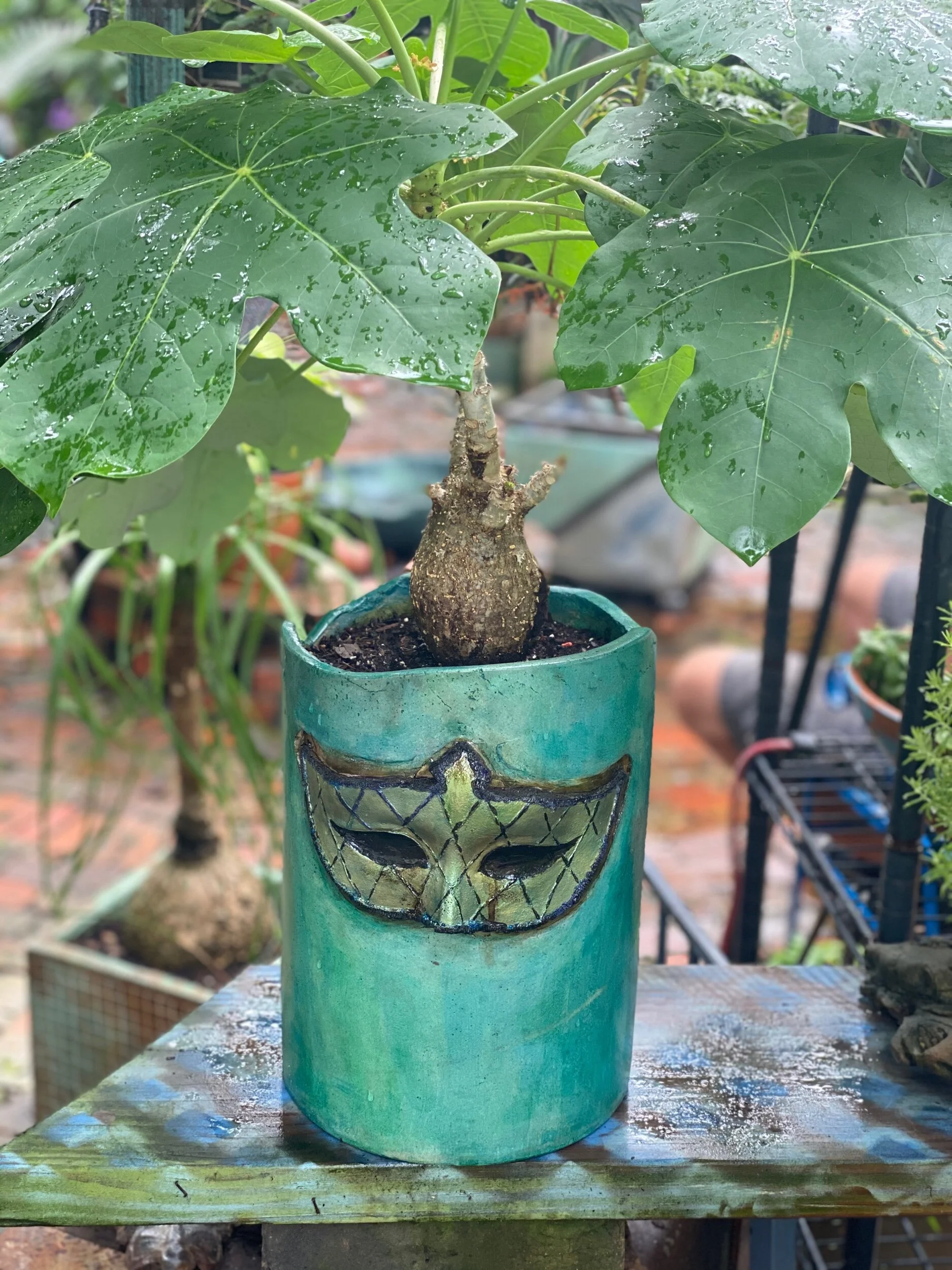 34BFF5DF-6FF2-43C1-841F-0F6C1C363948