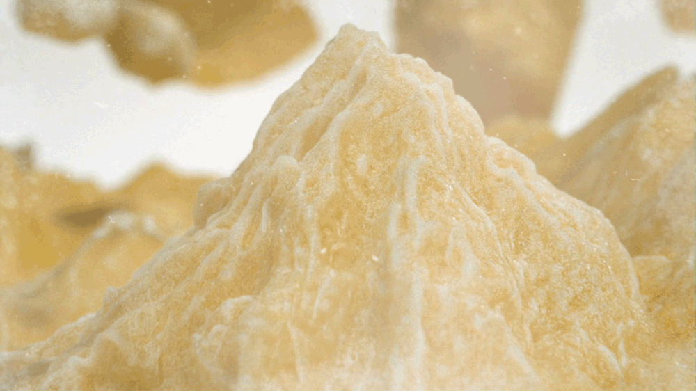 triggers home.mp4.gif