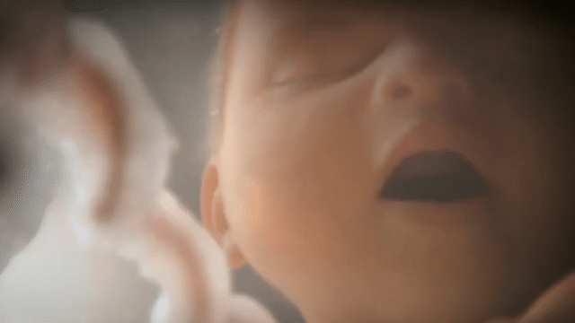 Frida - #RealBirthAnnouncements Case Study-low.gif