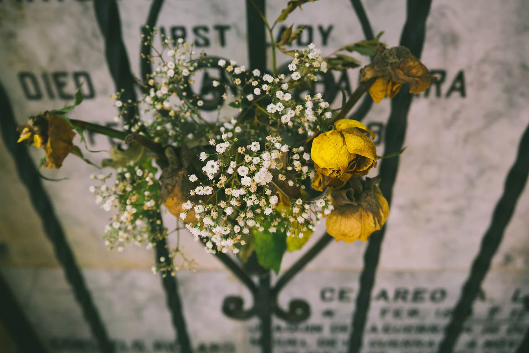 To Bury or to Burn, Part 3: The Decline of Christian Burial and the Rise of the Practice of Cremation