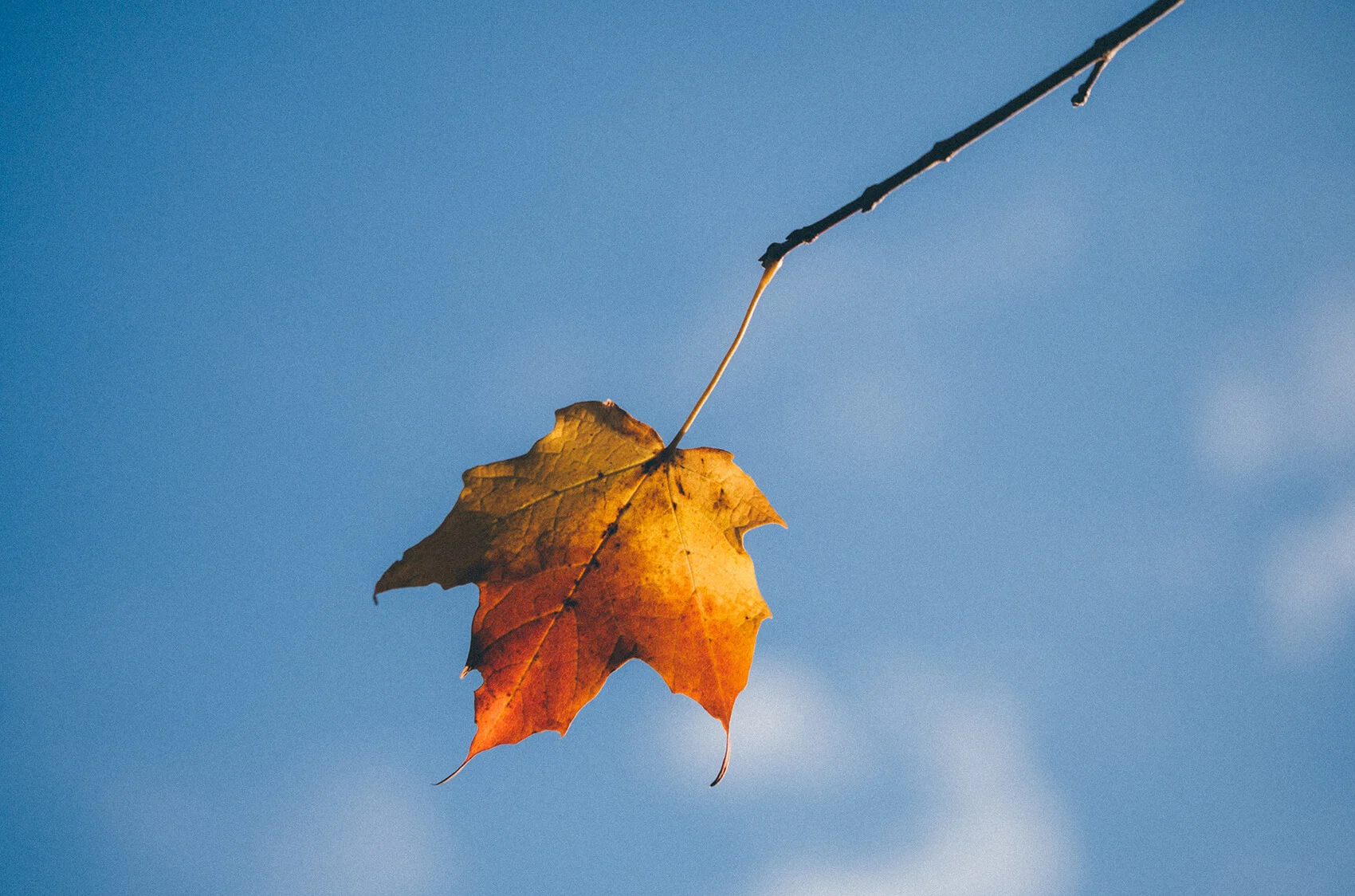 Ecclesiastical Neuropathy