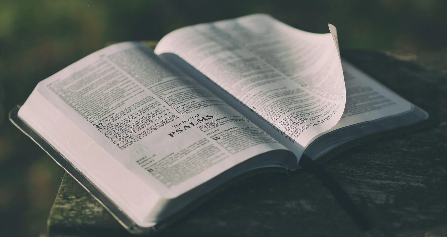 Warnings and Prescriptions from a Christian Intellectual