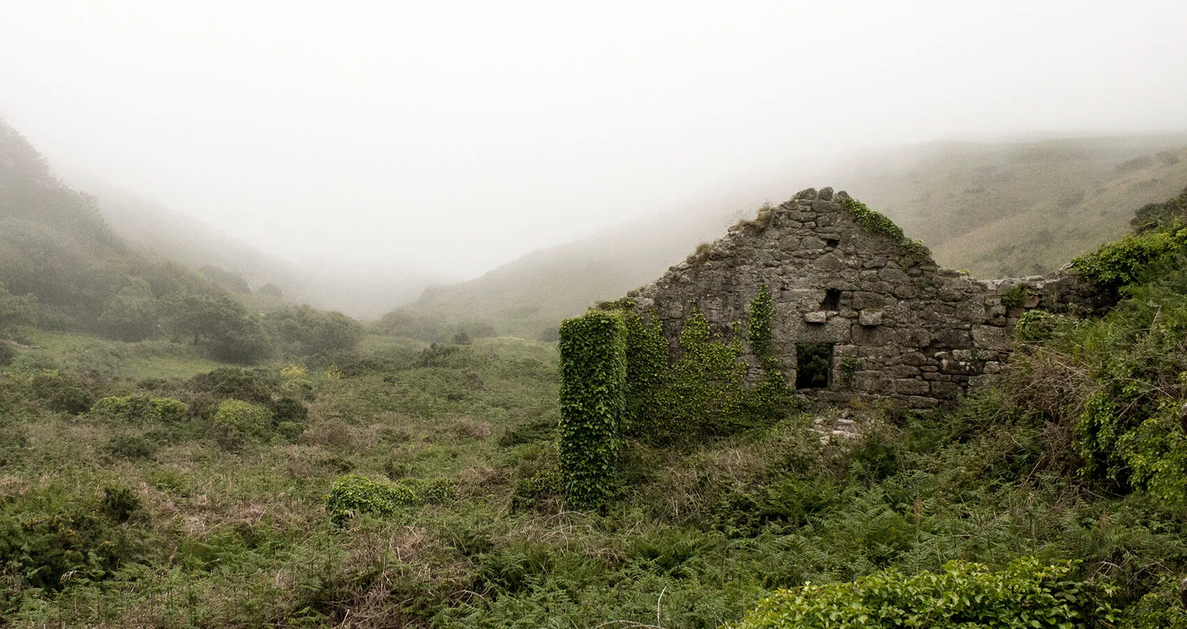 Five Keys to Reviving a Dying Church