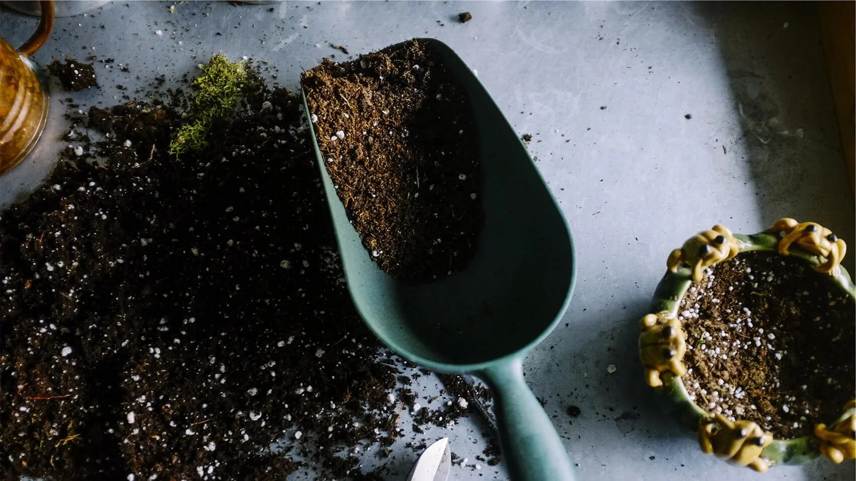 Among the Soil and the Seeds