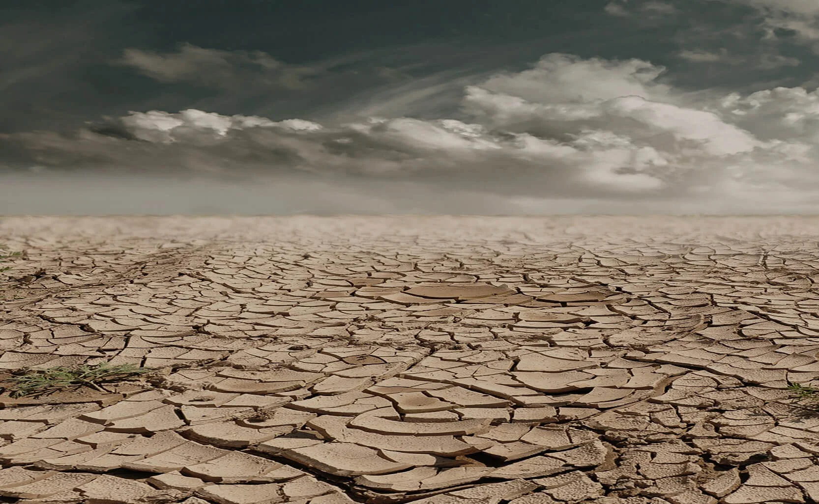 Can These Bones Live?