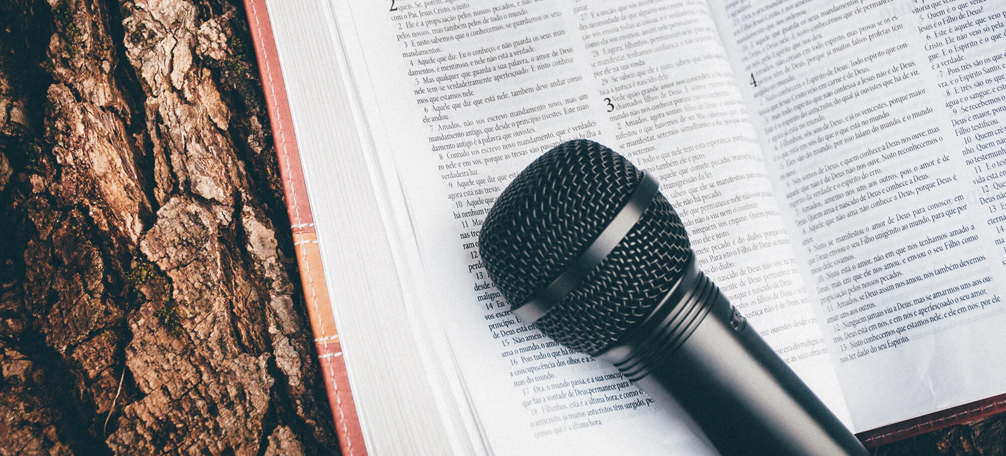 Did I Hear What I Think I Read?