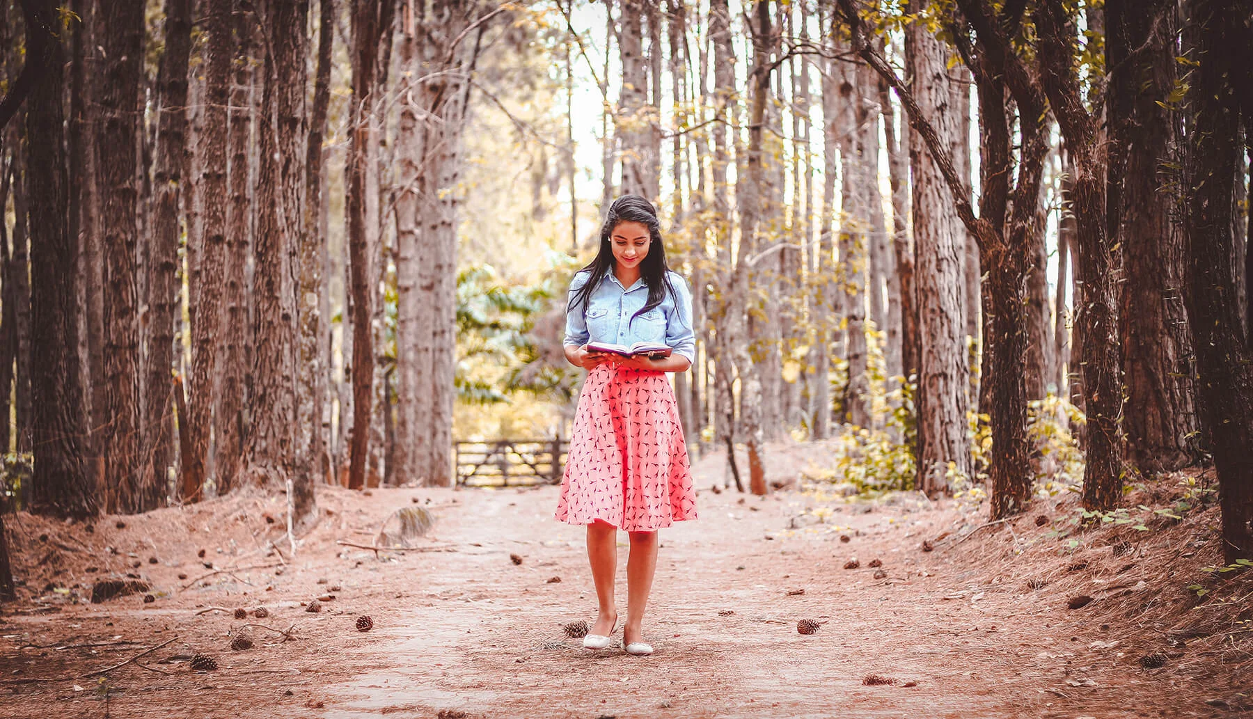 Spiritual Direction, Patience, and A Man Called Ove