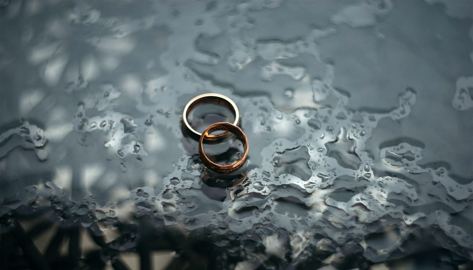 He Made a Robot, and Then He Married Her (It?)