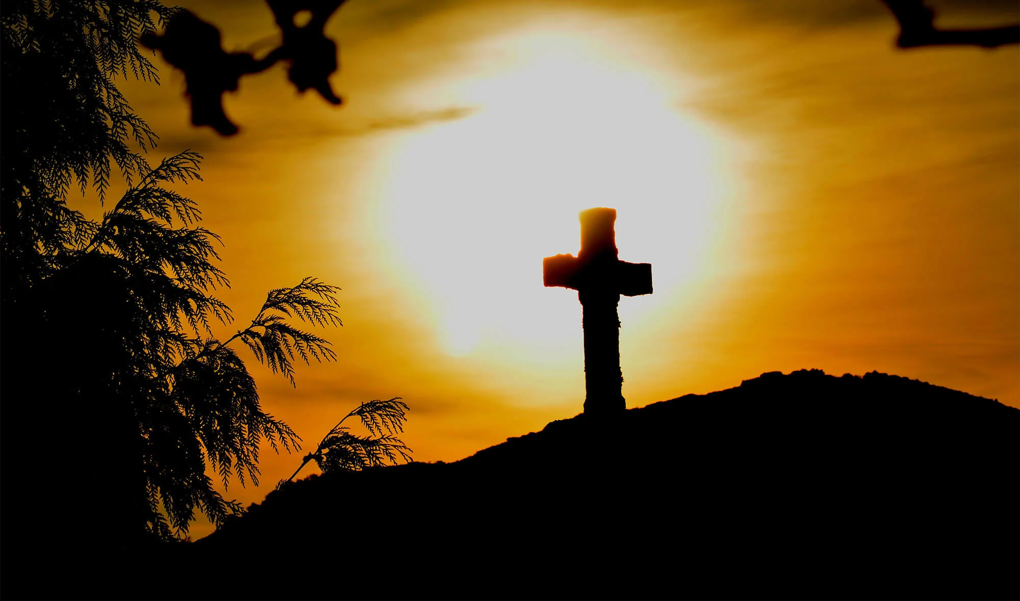 New Creation: Lenten Reflection