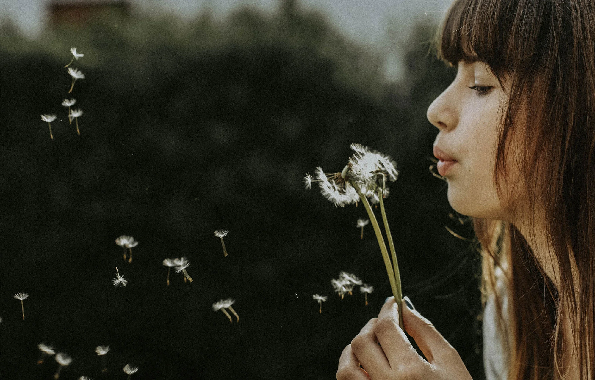 Will We Hold Tightly to Our Wish Dreams of Christian Community?
