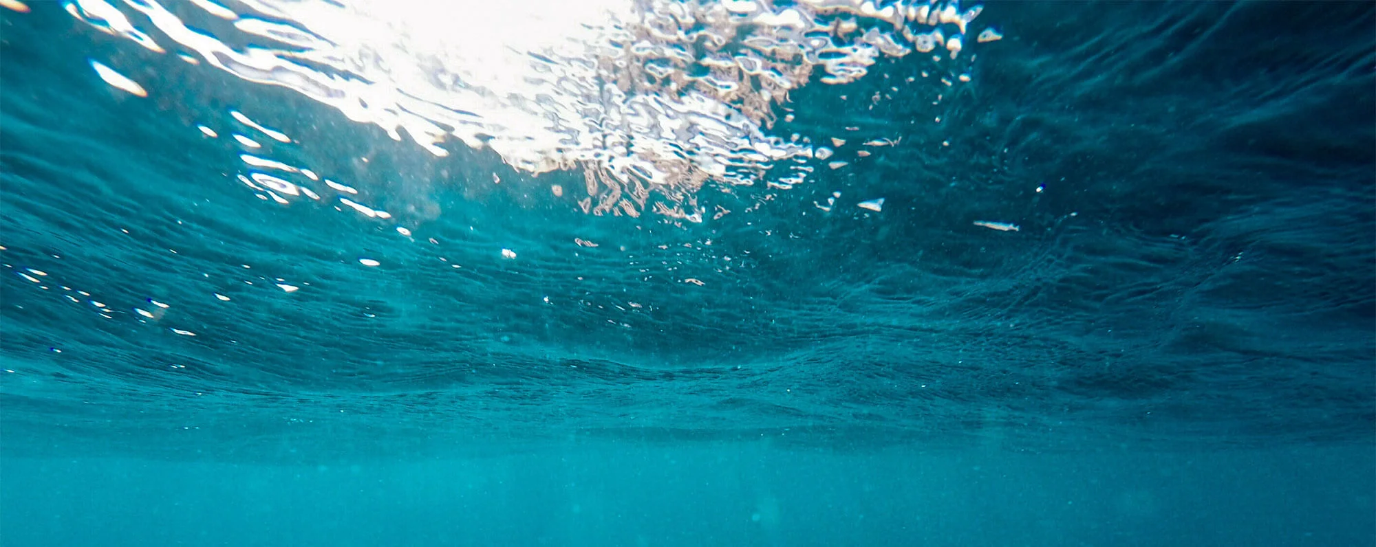 The Shape of Water and the Shape of the Church