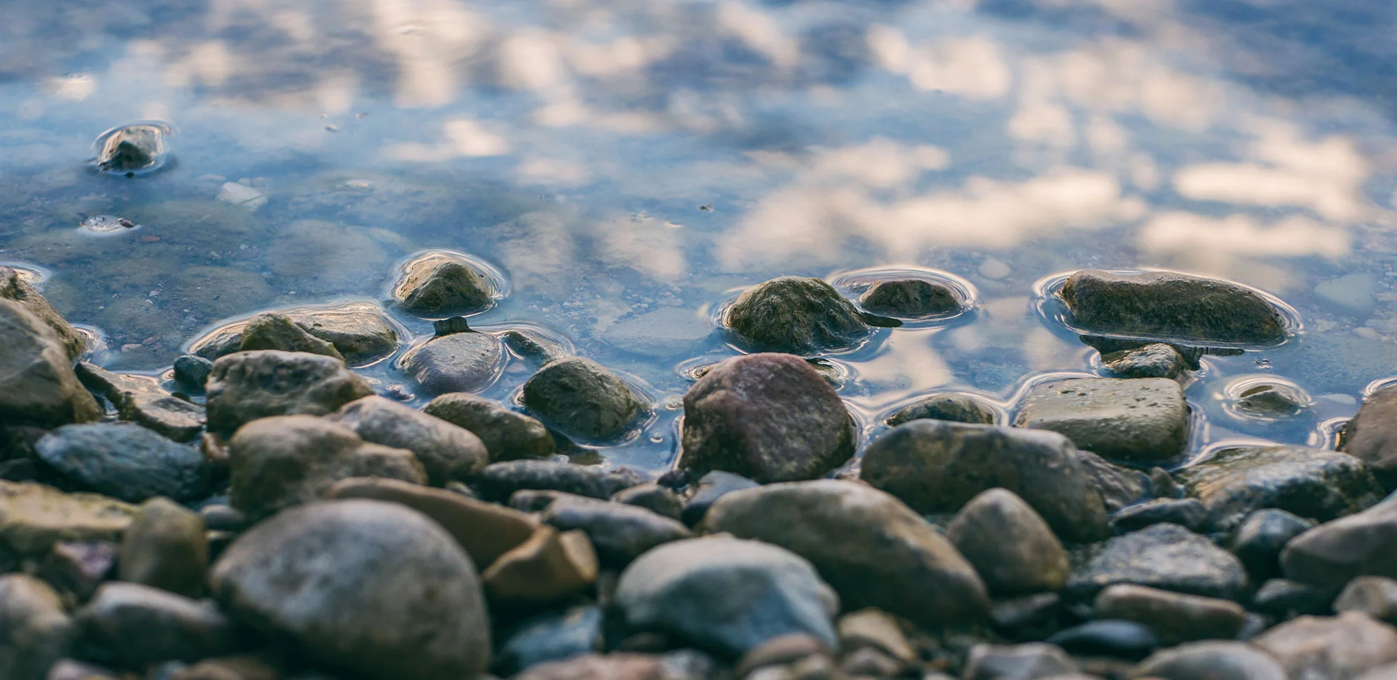 Living Stones: Recognizing the DNA of Your Church