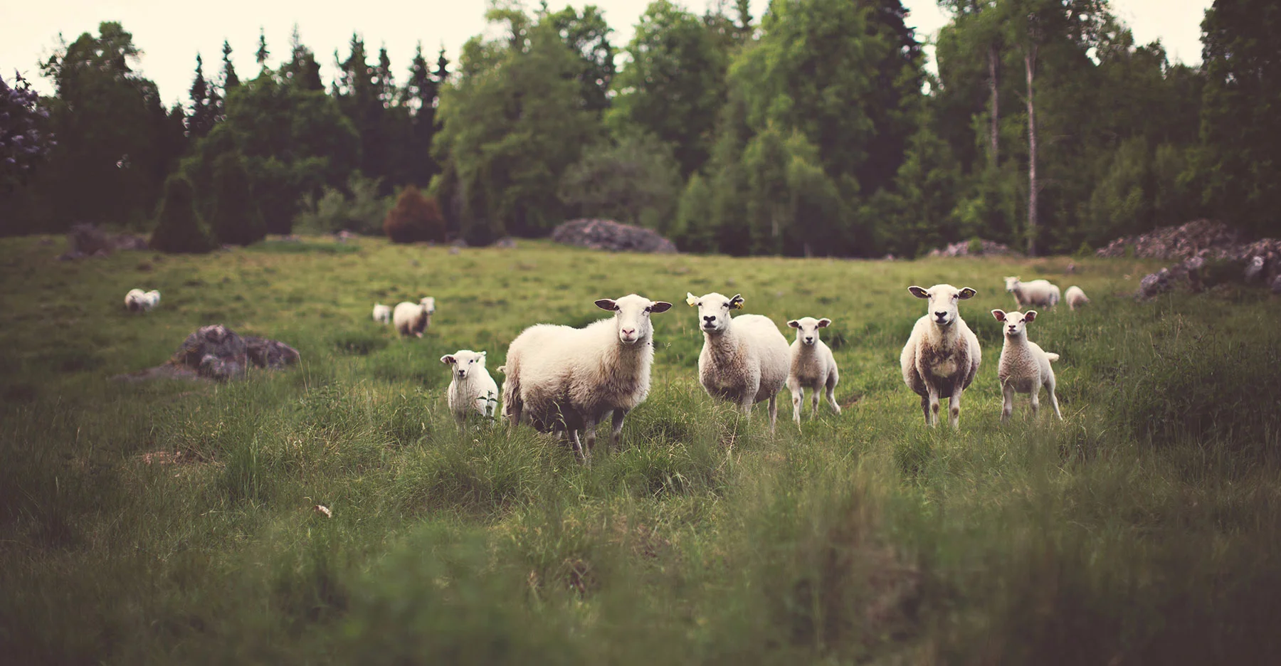 On Being Elders
