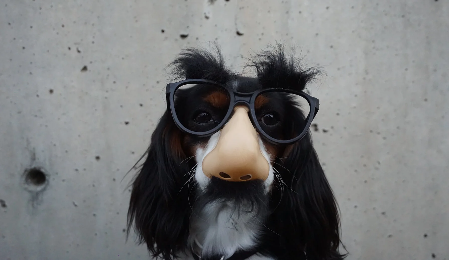 The Ballad of Pretty and Ugly