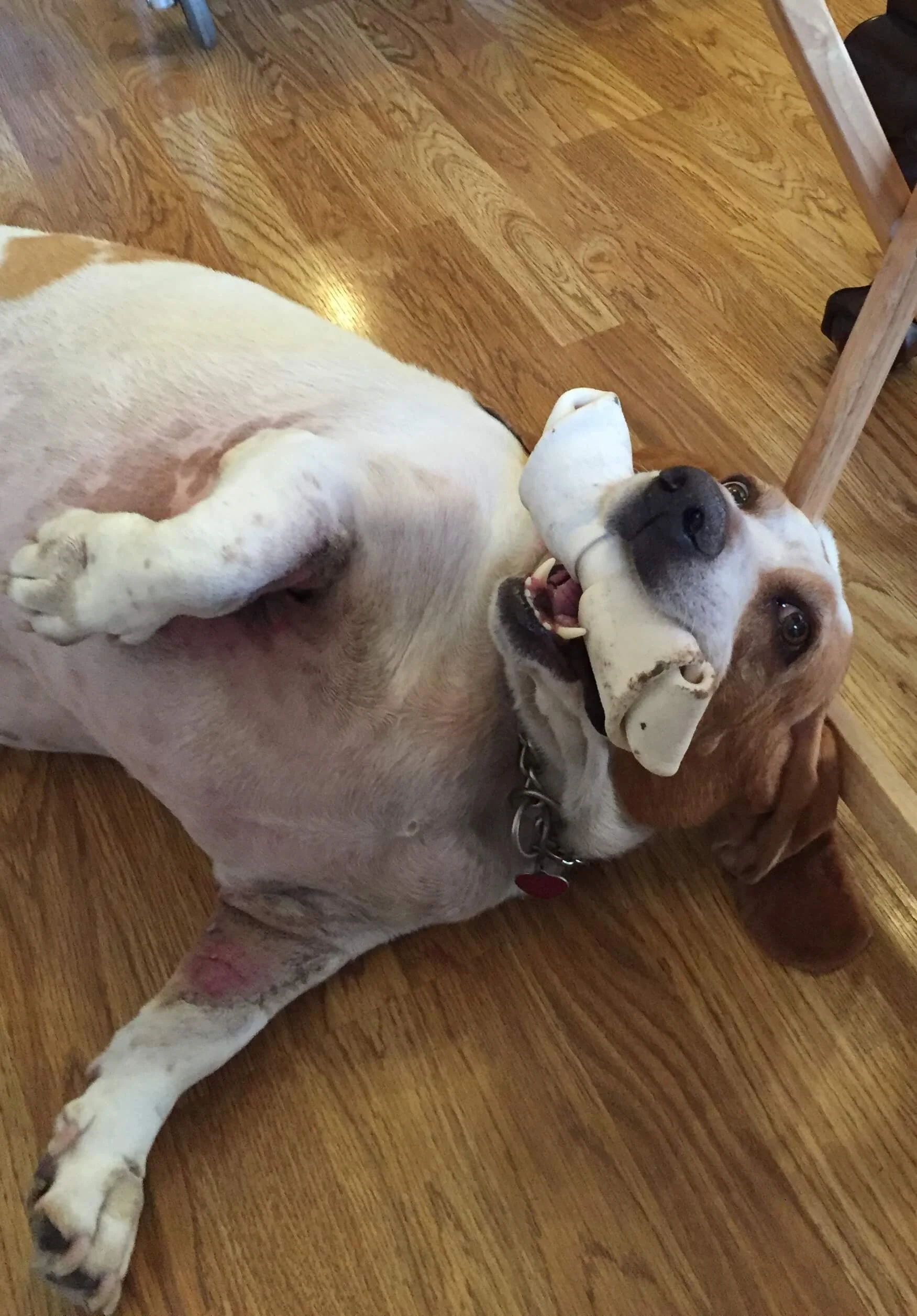 Buford playing on the floor