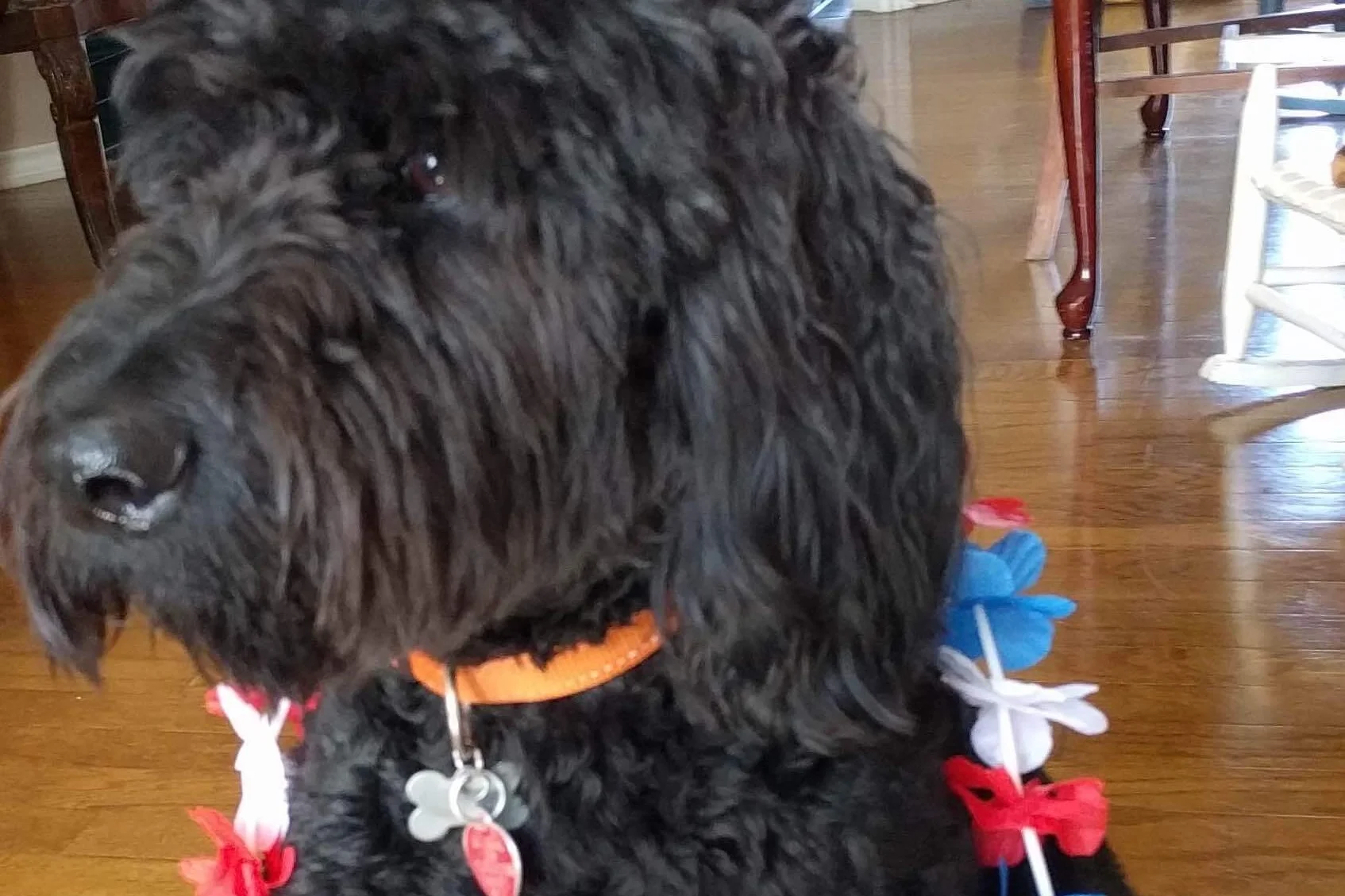 4th and 7th for the 2nd Time