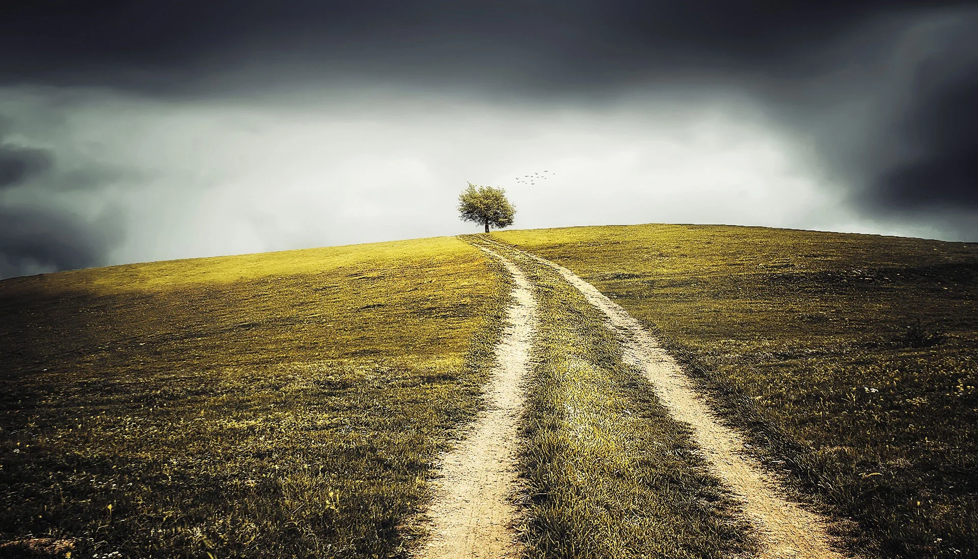 Ministry of Reconciliation, Part 3: Three Commitments to Move Us Further