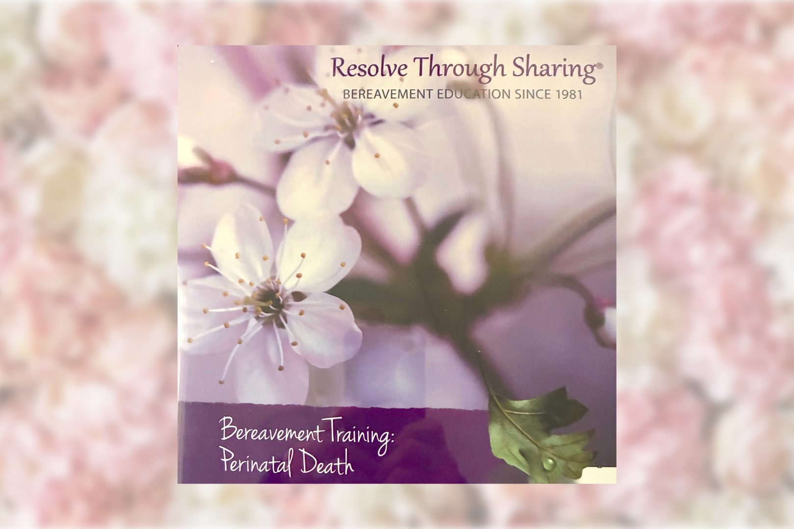 Resource for Perinatal Loss Ministry