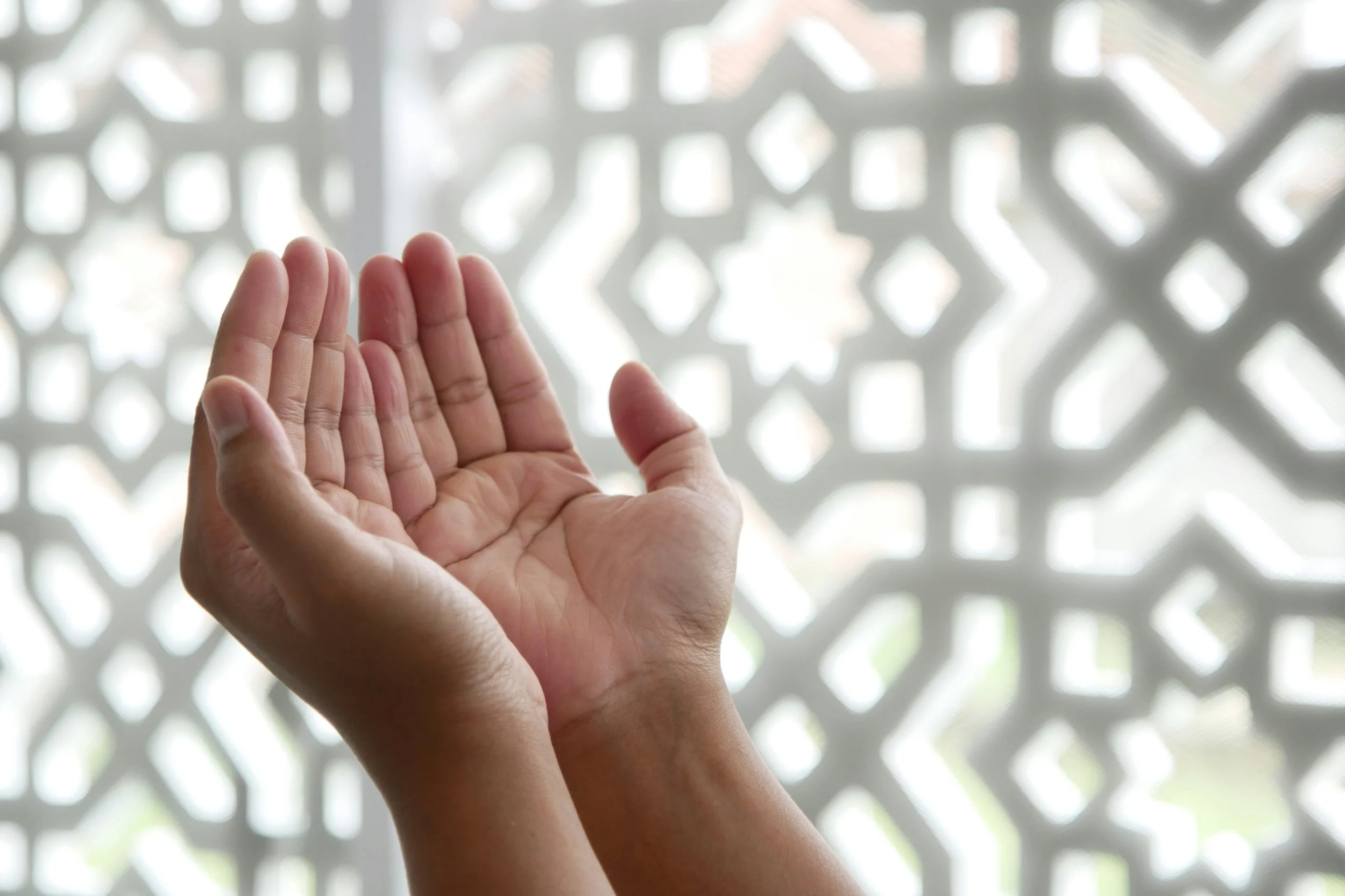 Lowering the Wing: Humility as a Competency in Spiritual Care
