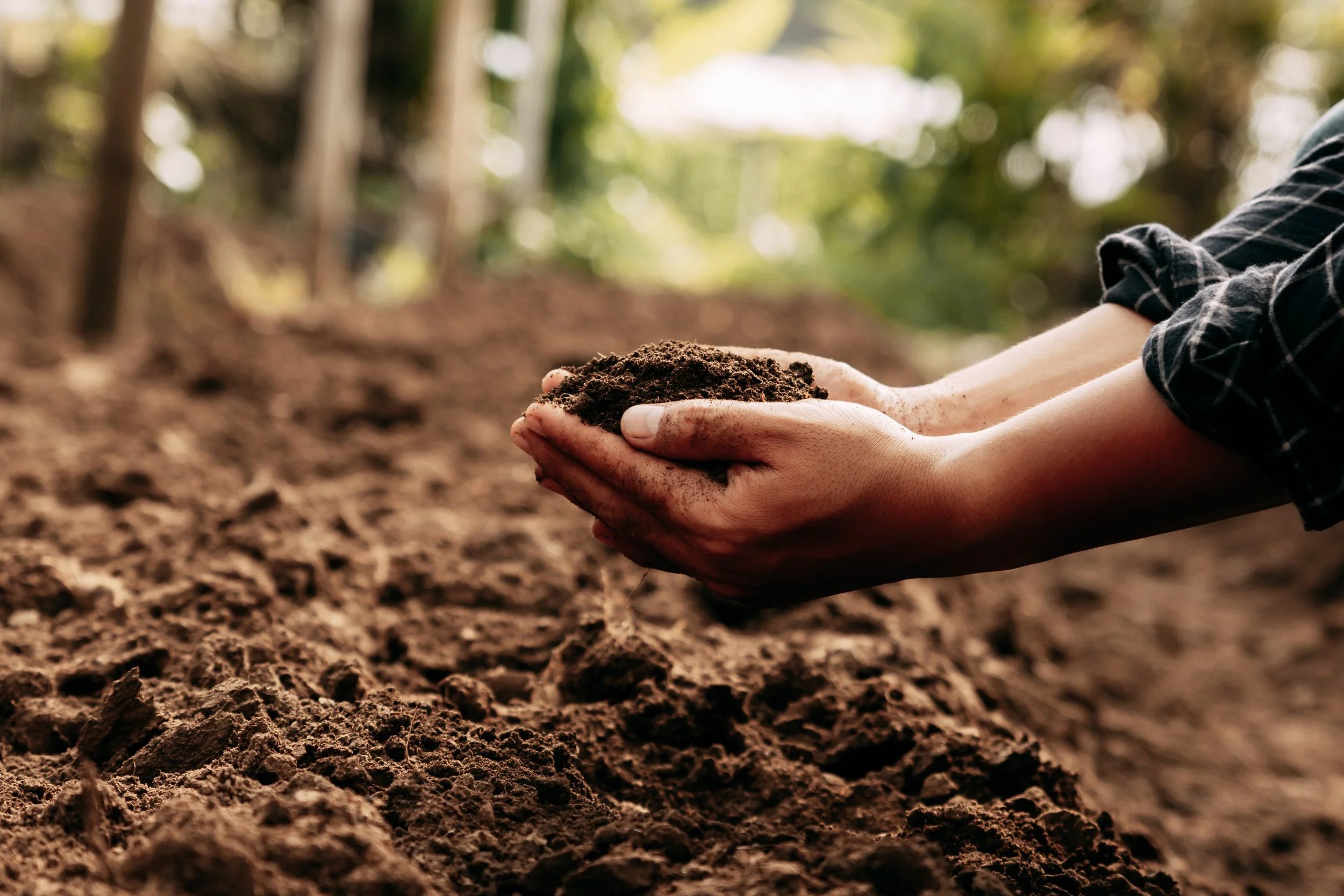 Holy Ground: Teaching the Gospel of Mark