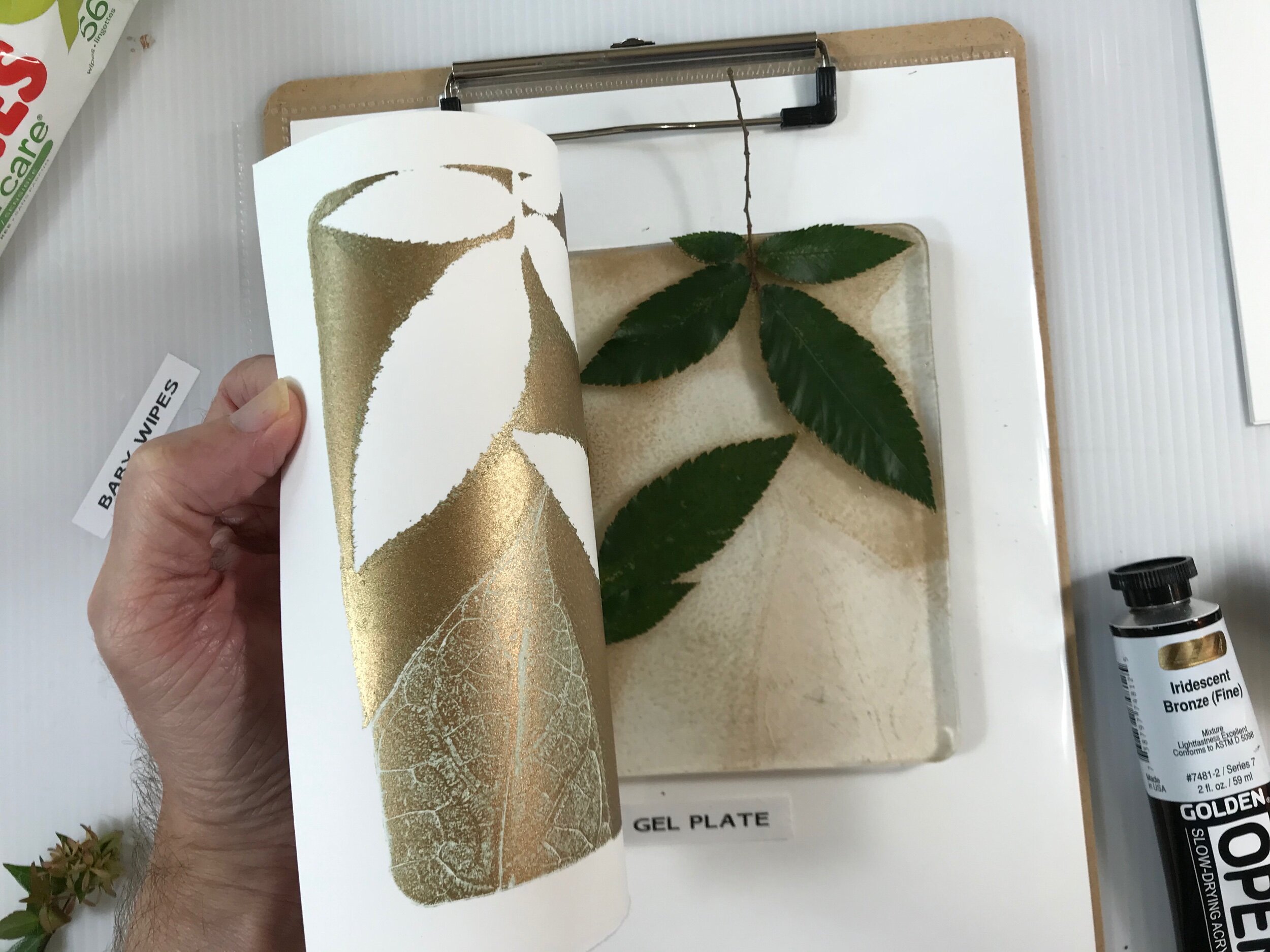 Iridescent Bronze: Gel Plate Printing with Botanicals — Lee Monts Original  Art