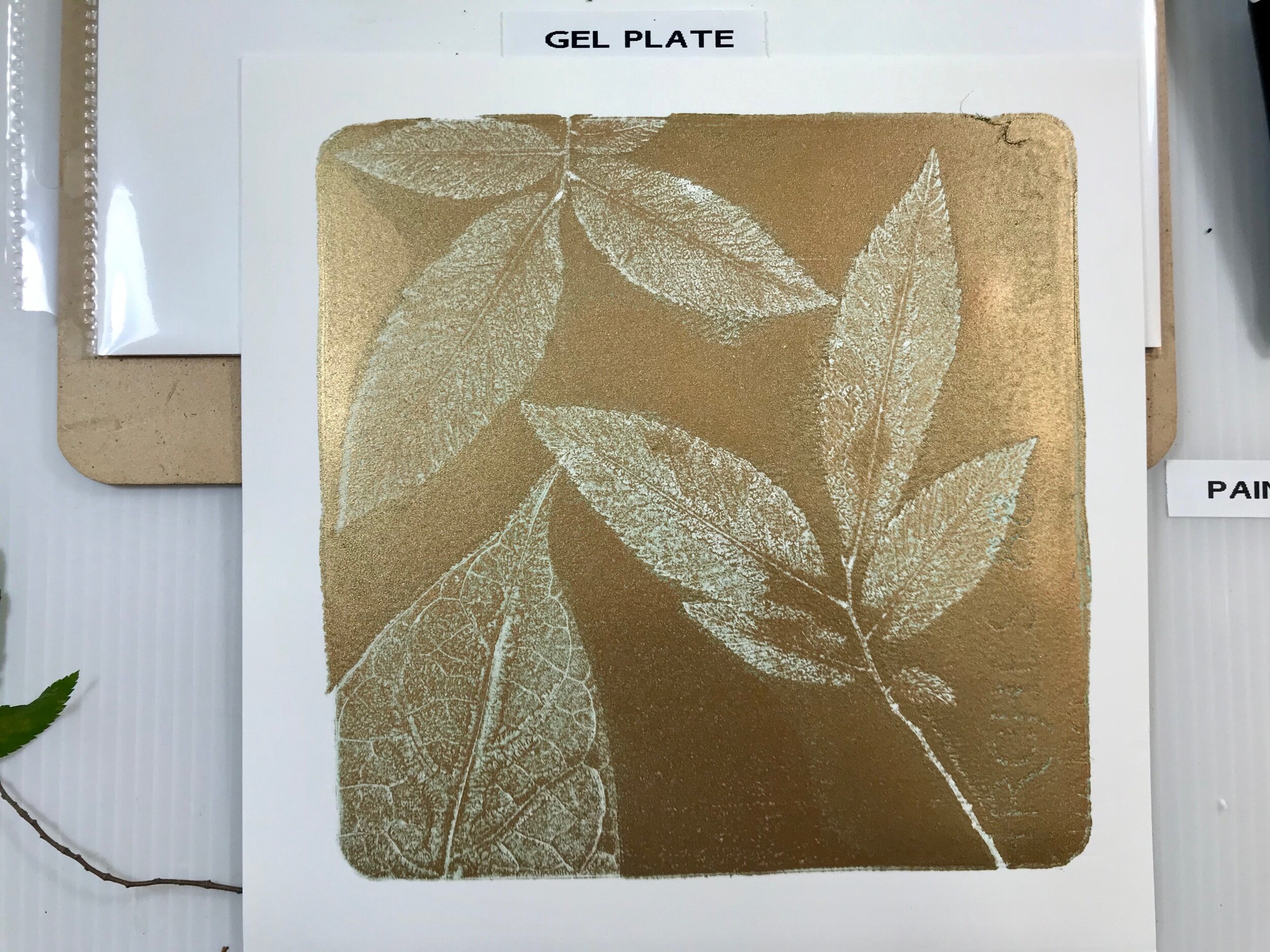 Gelatin plate printing with GOLDEN OPEN acrylics