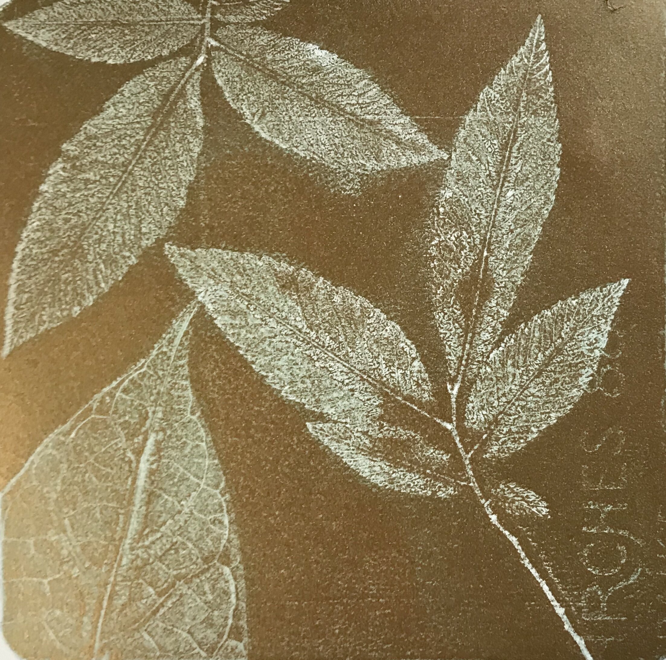 Iridescent Bronze: Gel Plate Printing with Botanicals — Lee Monts Original  Art