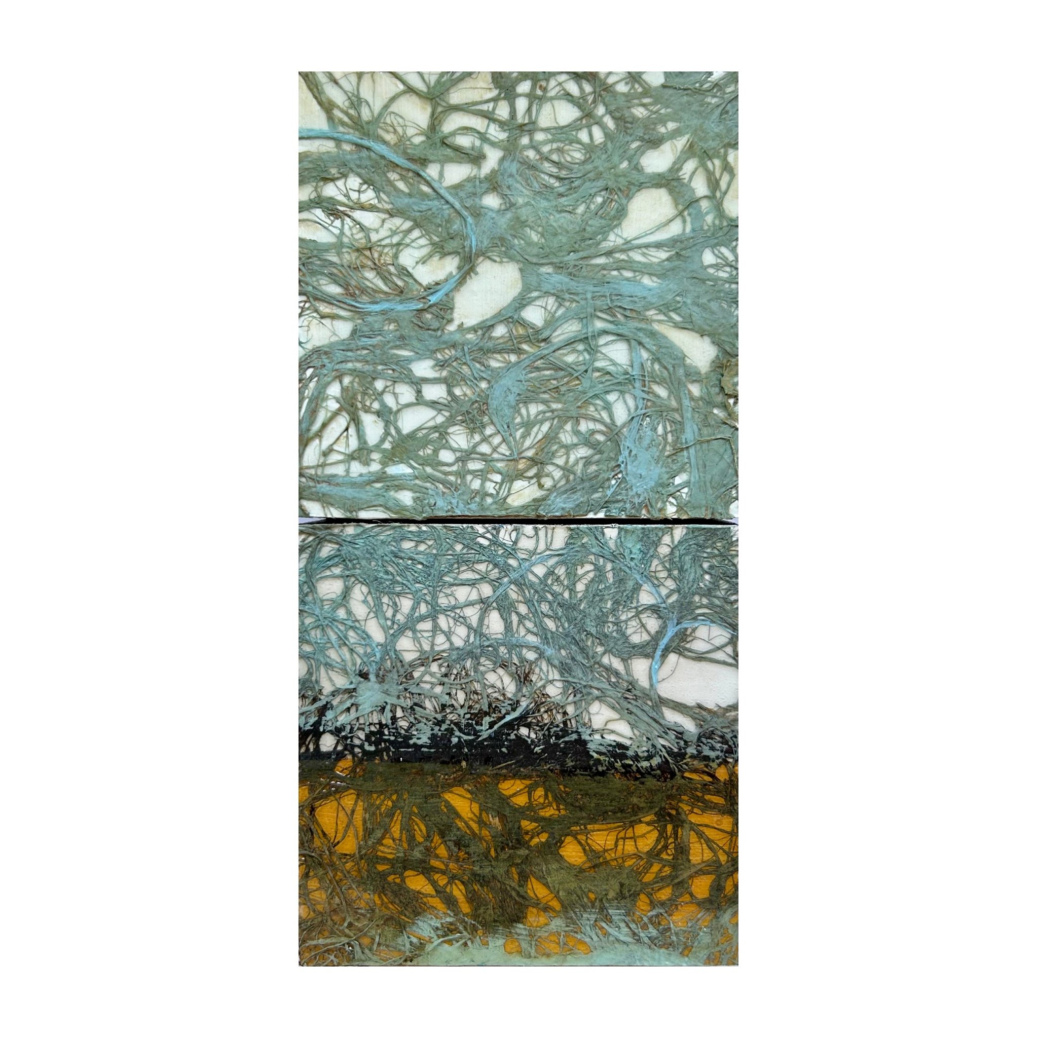 "Sunday Visits with Spanish Moss and Hayfields along the Way"